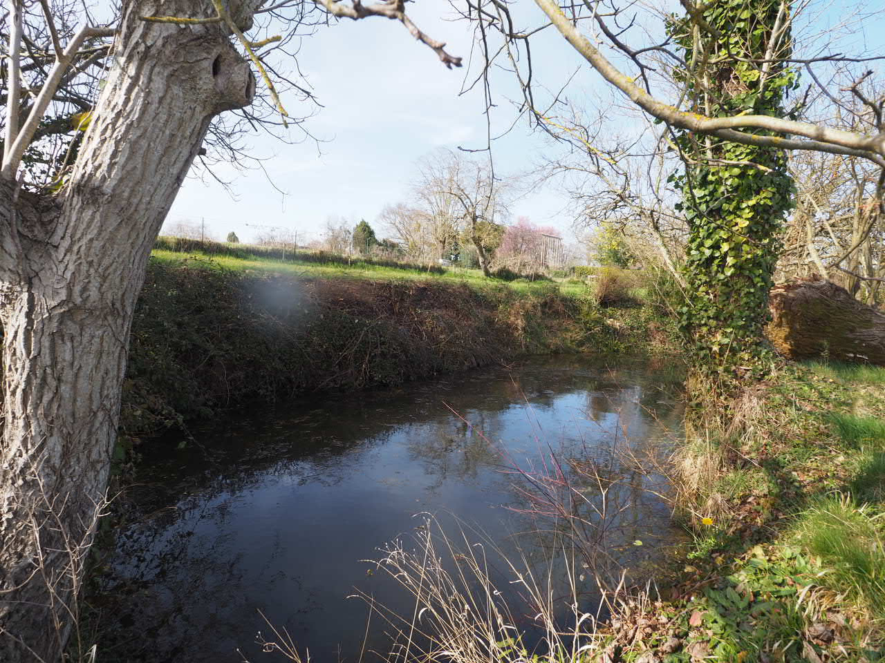 Photo 15 — SUD PROPRIÉTÉS