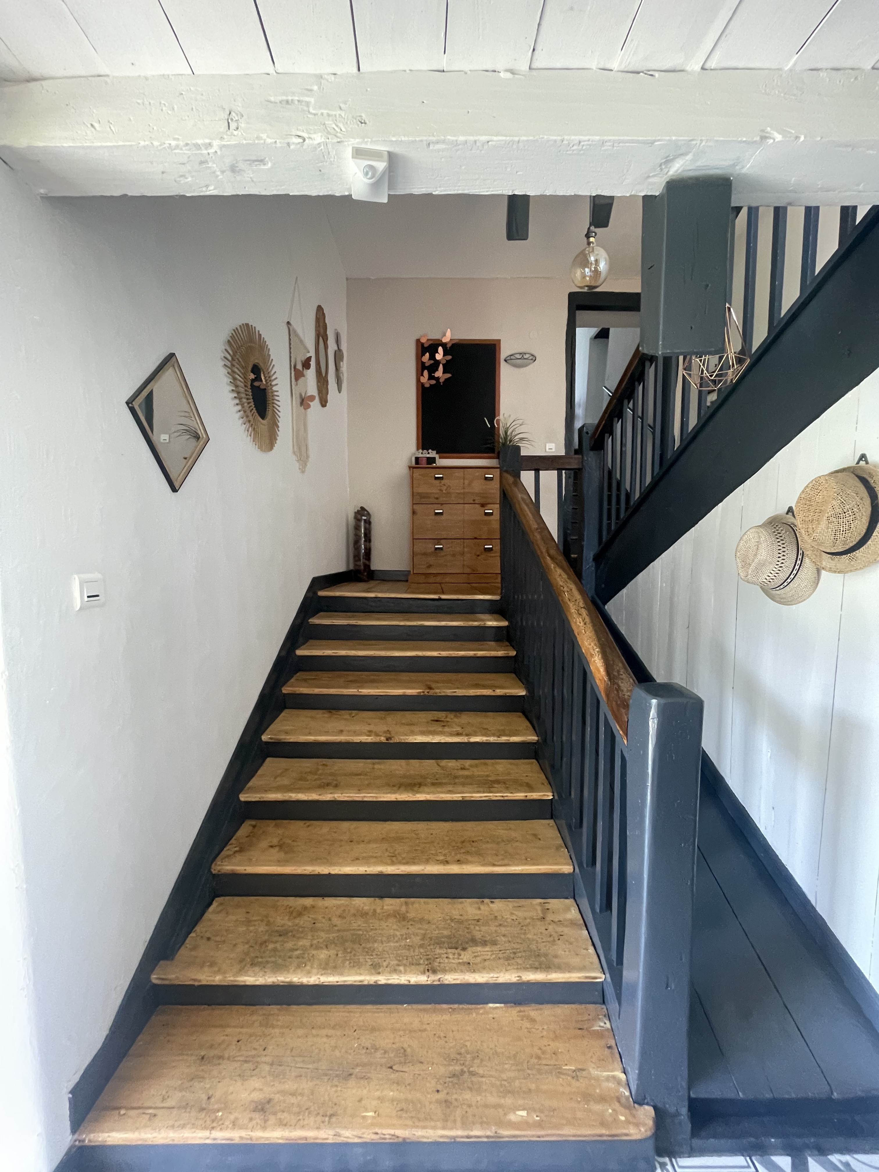 Photo 9 — SUD PROPRIÉTÉS