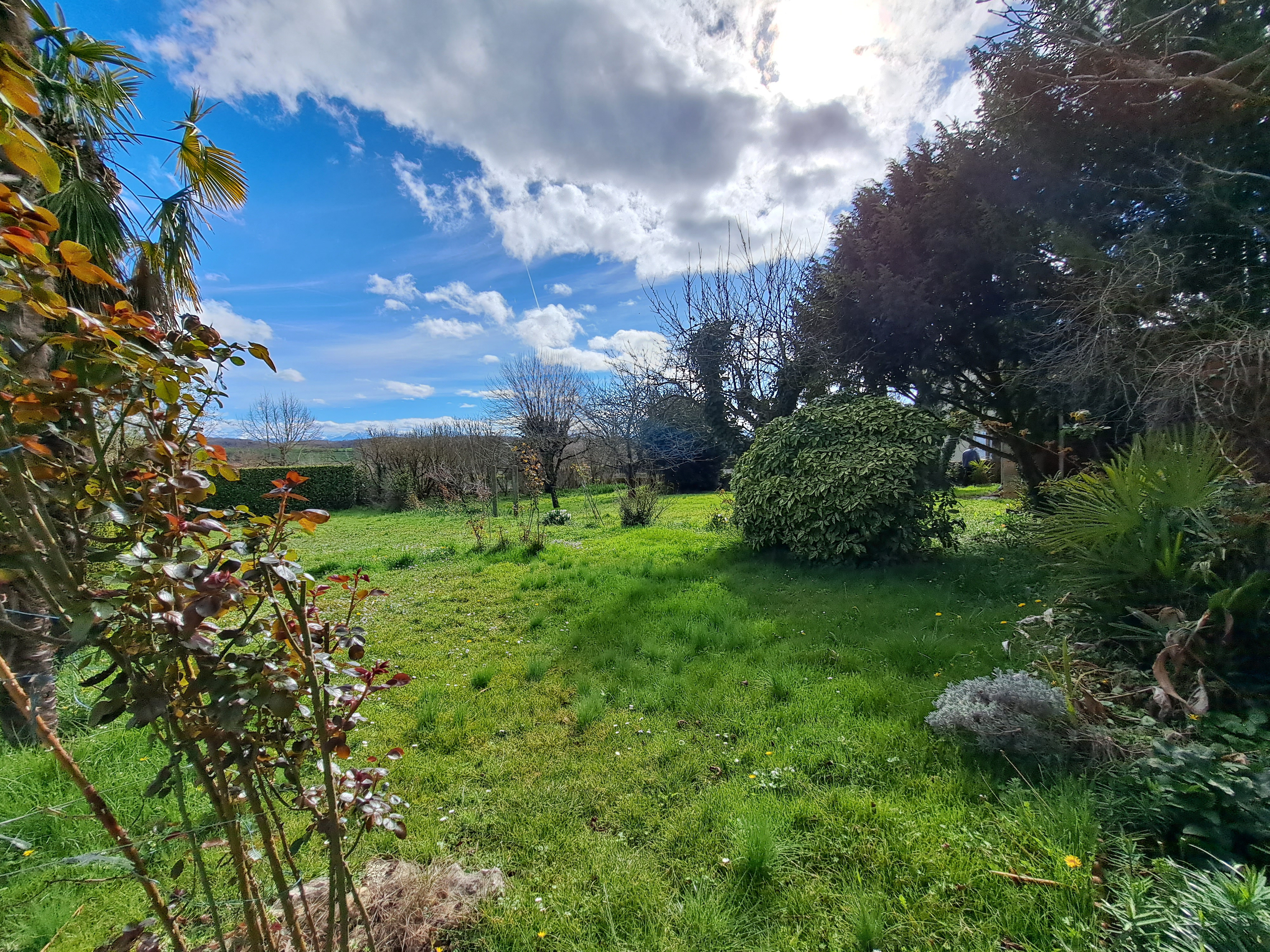Photo 15 — SUD PROPRIÉTÉS