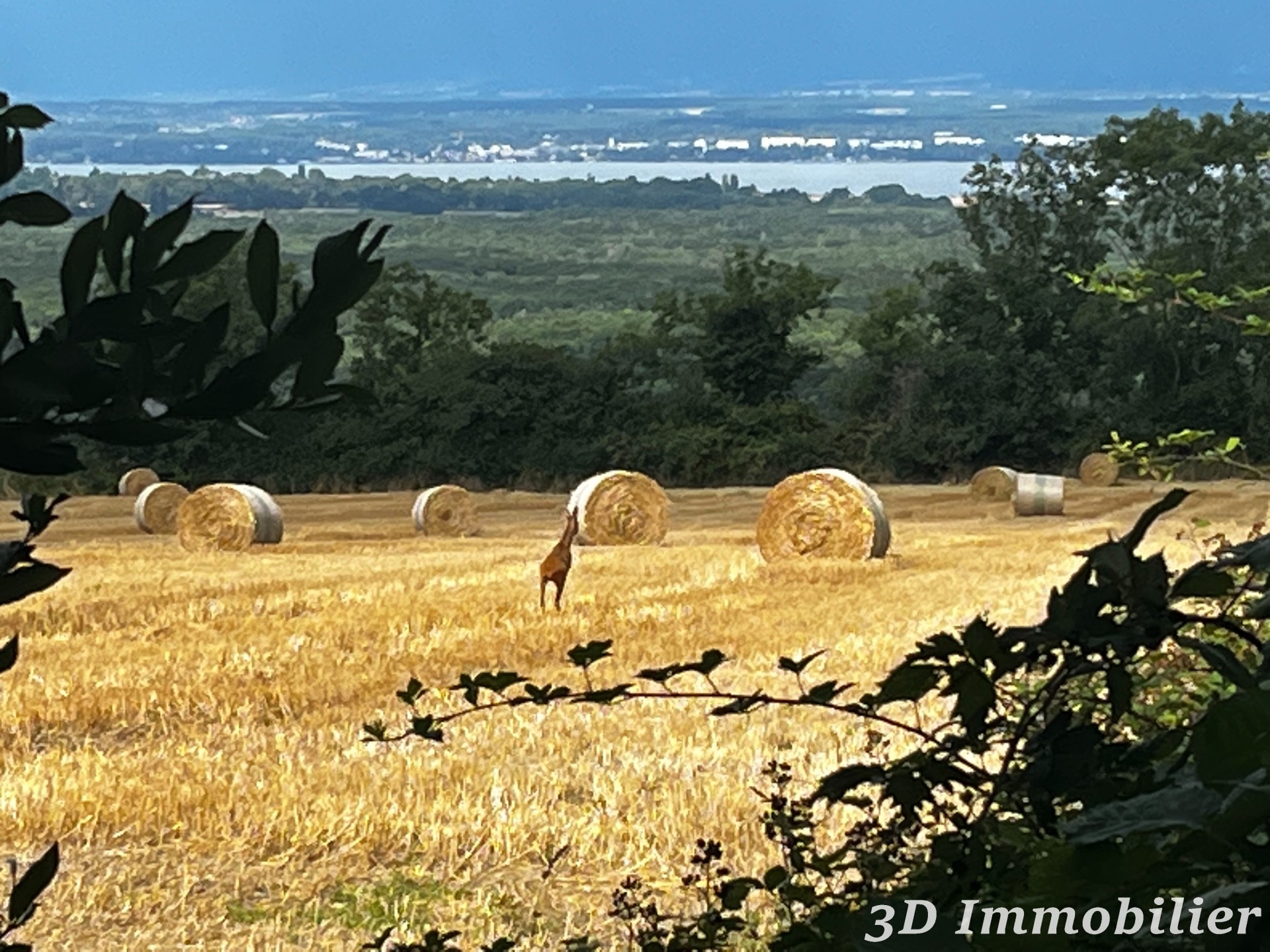Photo 10 — 3D IMMOBILIER