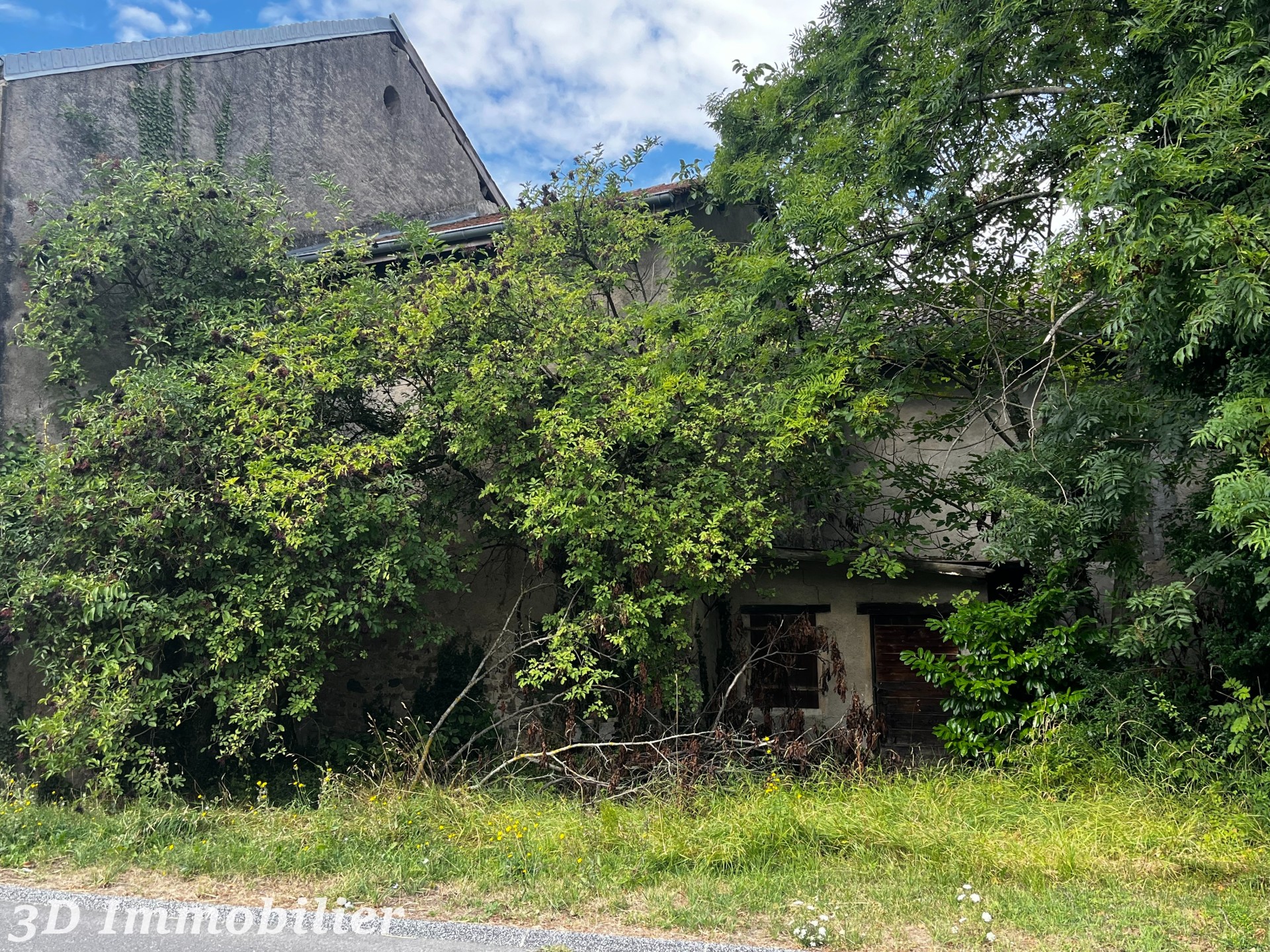 Photo 5 — 3D IMMOBILIER