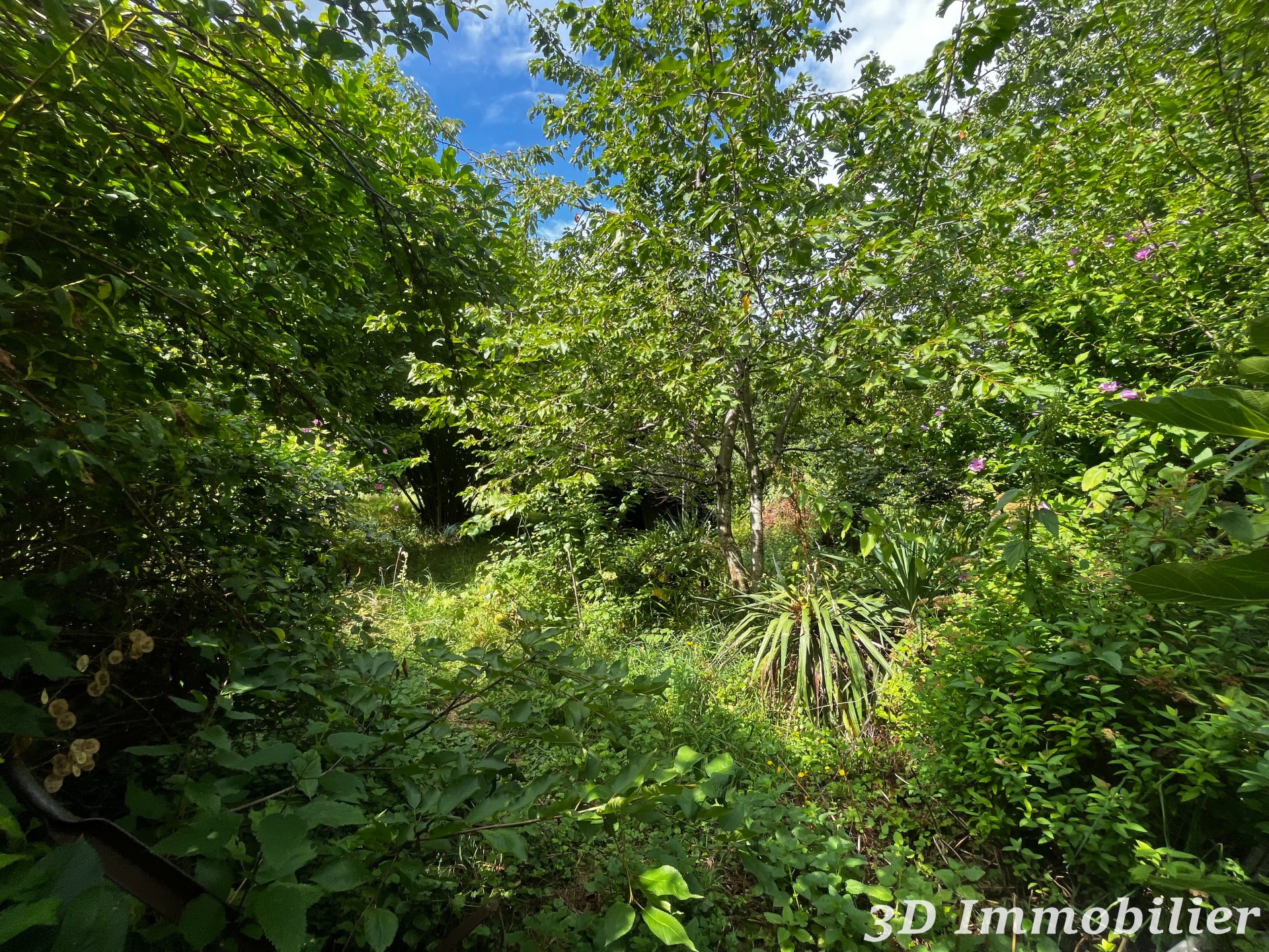 Photo 7 — 3D IMMOBILIER