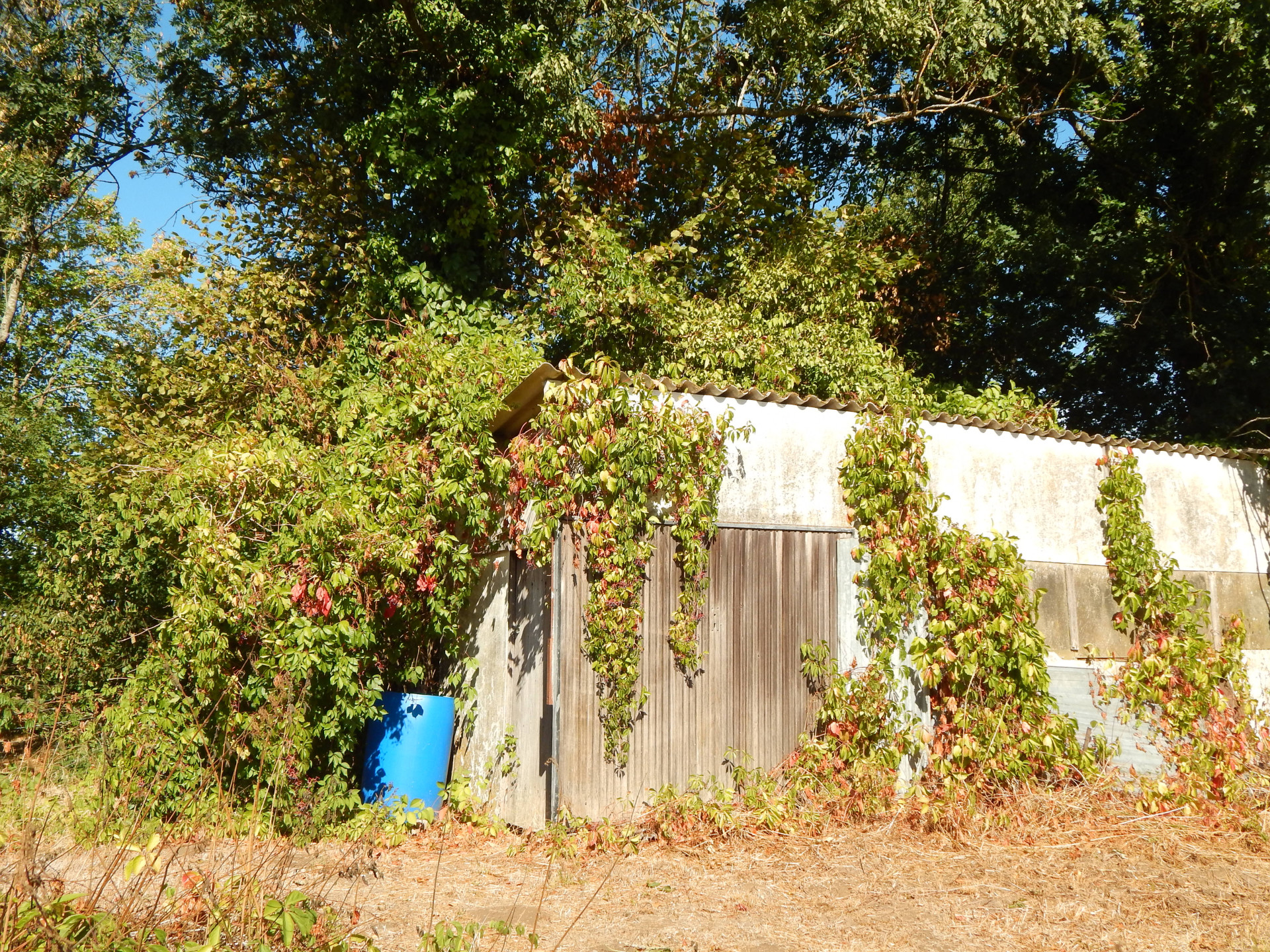 Photo 21 — 3D IMMOBILIER