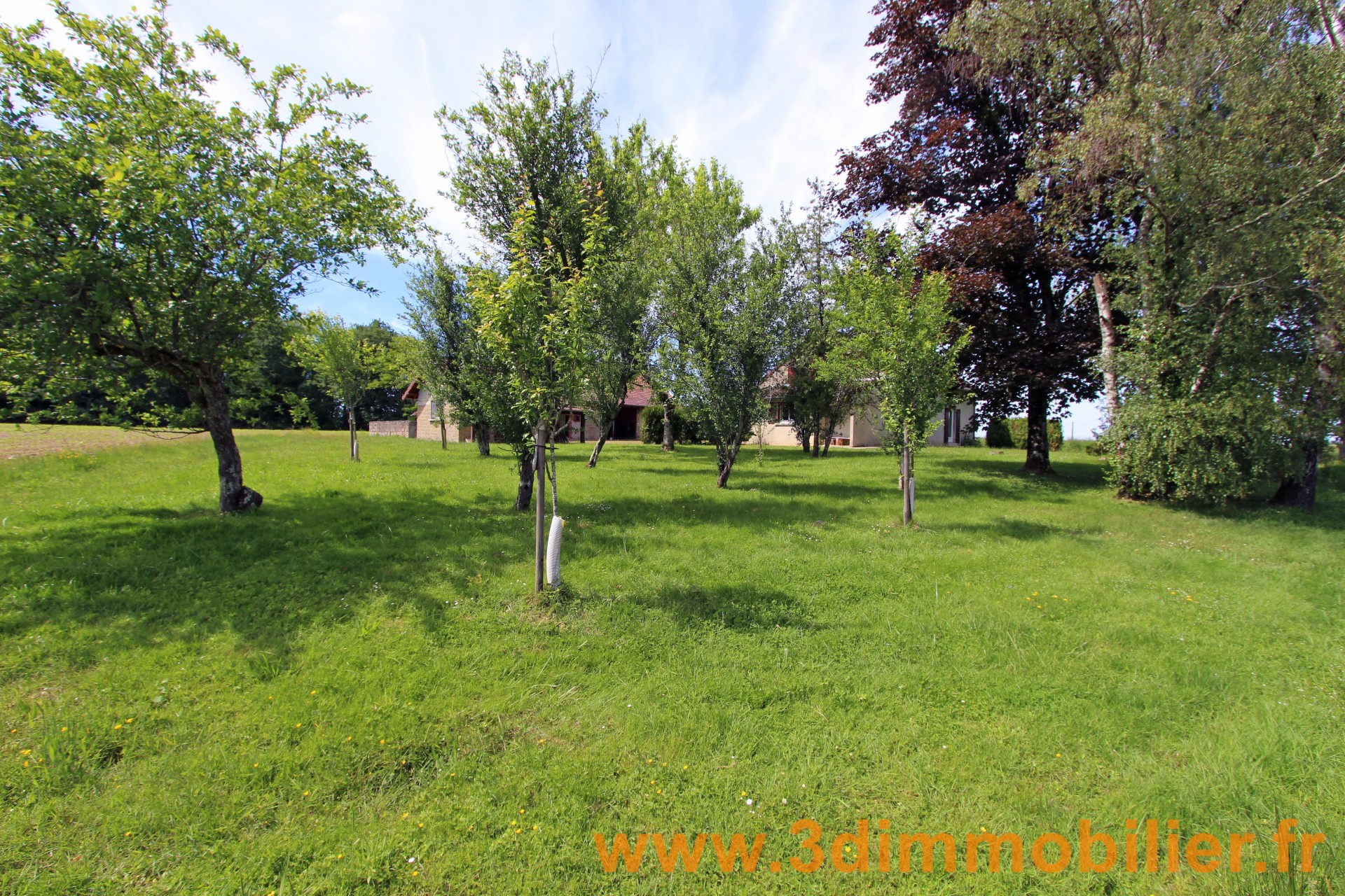Photo 3 — 3D IMMOBILIER
