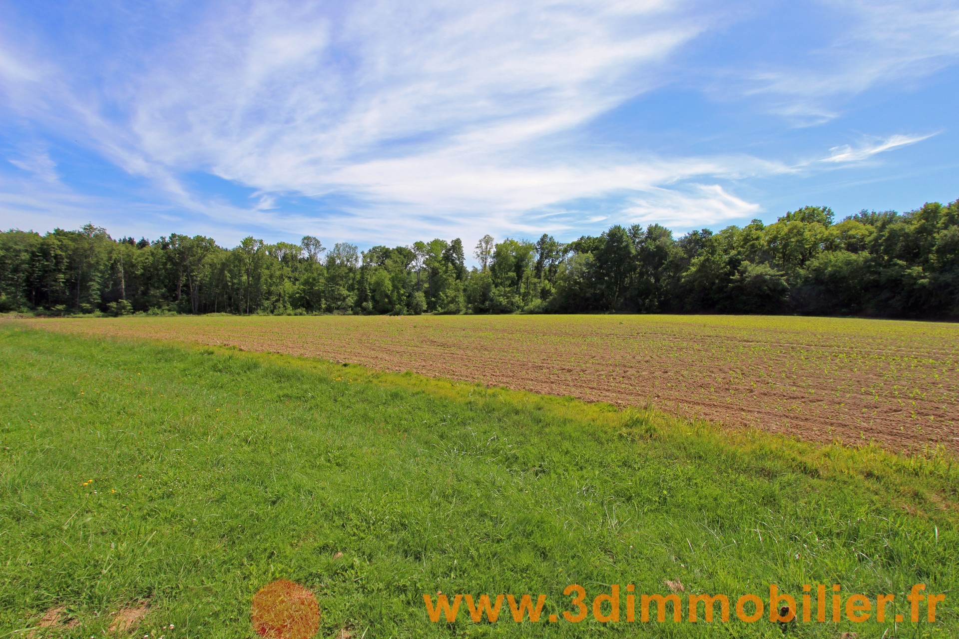 Photo 21 — 3D IMMOBILIER