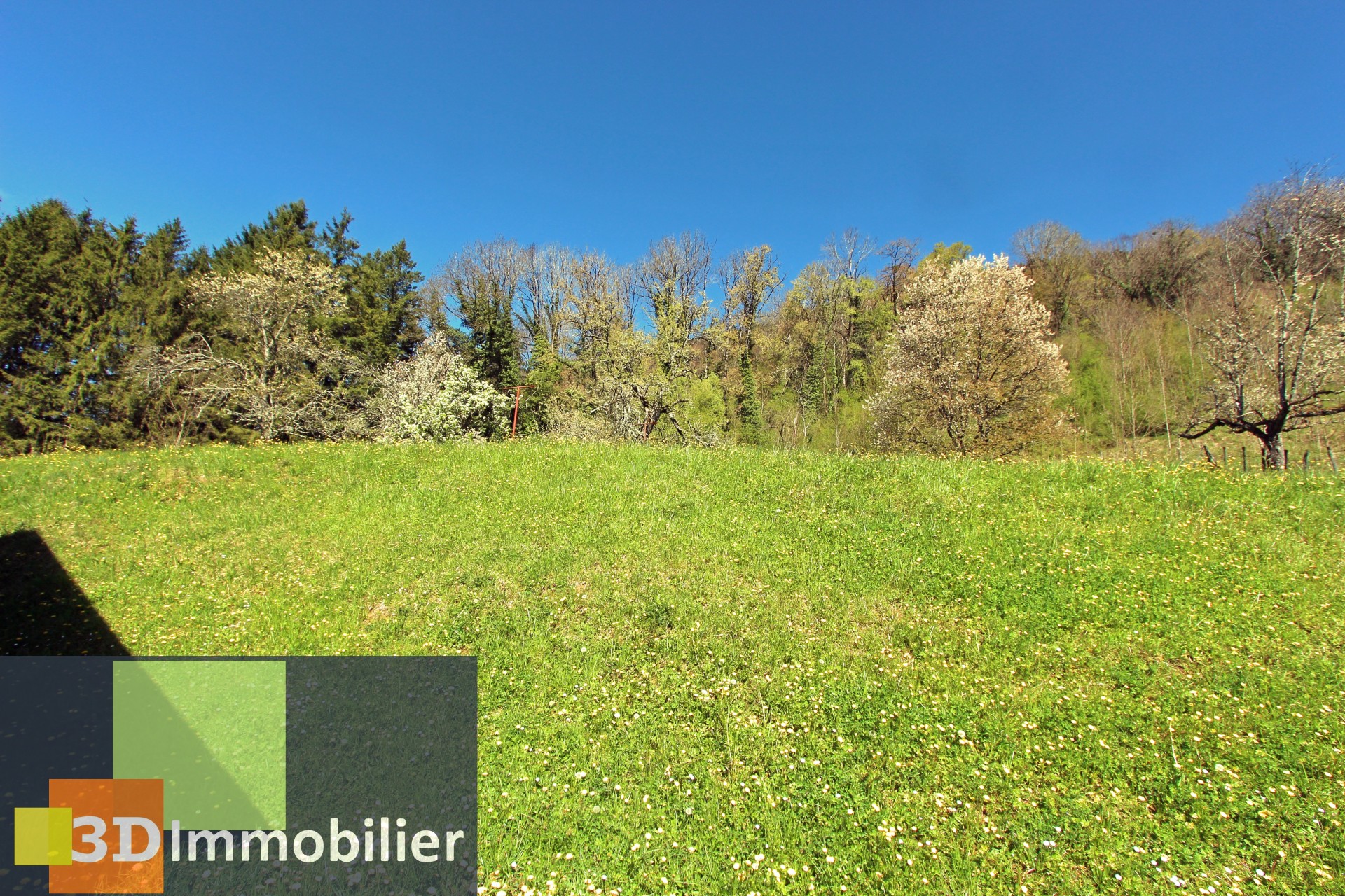 Photo 8 — 3D IMMOBILIER