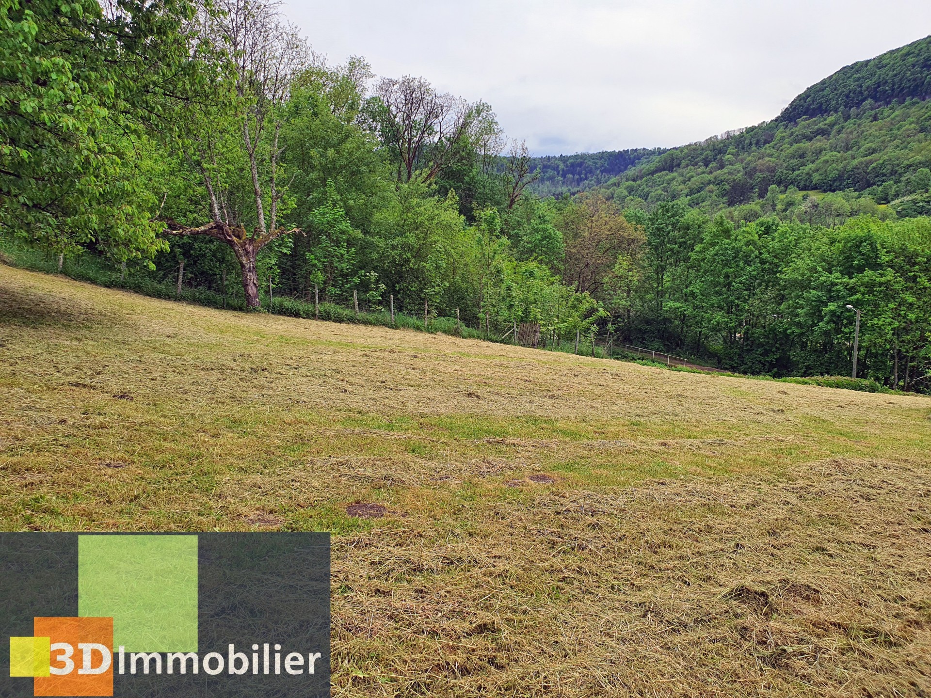Photo 2 — 3D IMMOBILIER