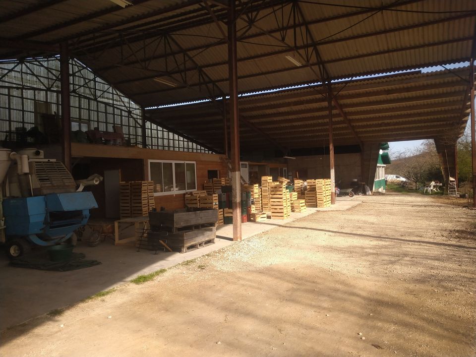 Photo 6 — XP CONSULTING