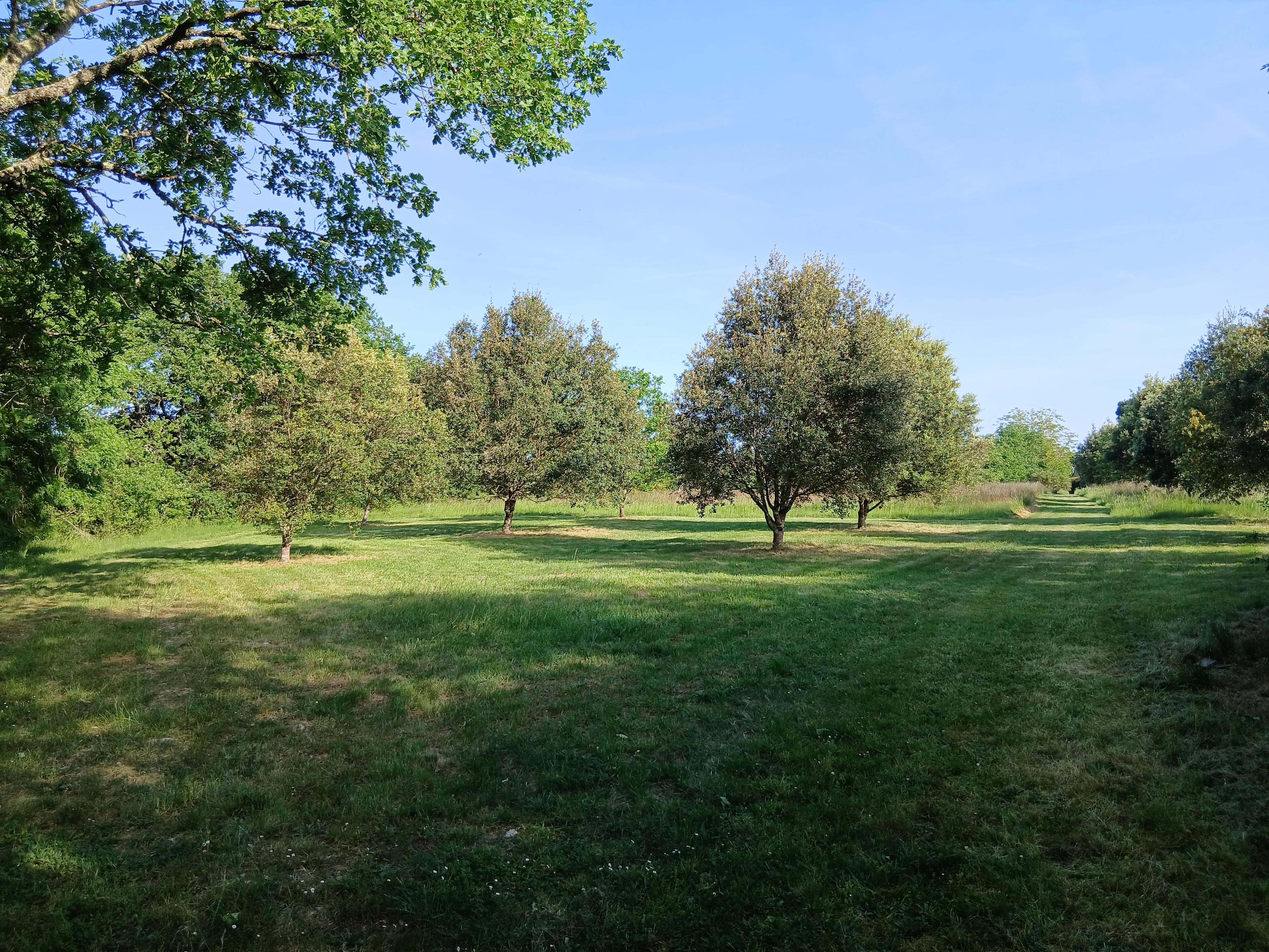 Photo 10 — XP CONSULTING