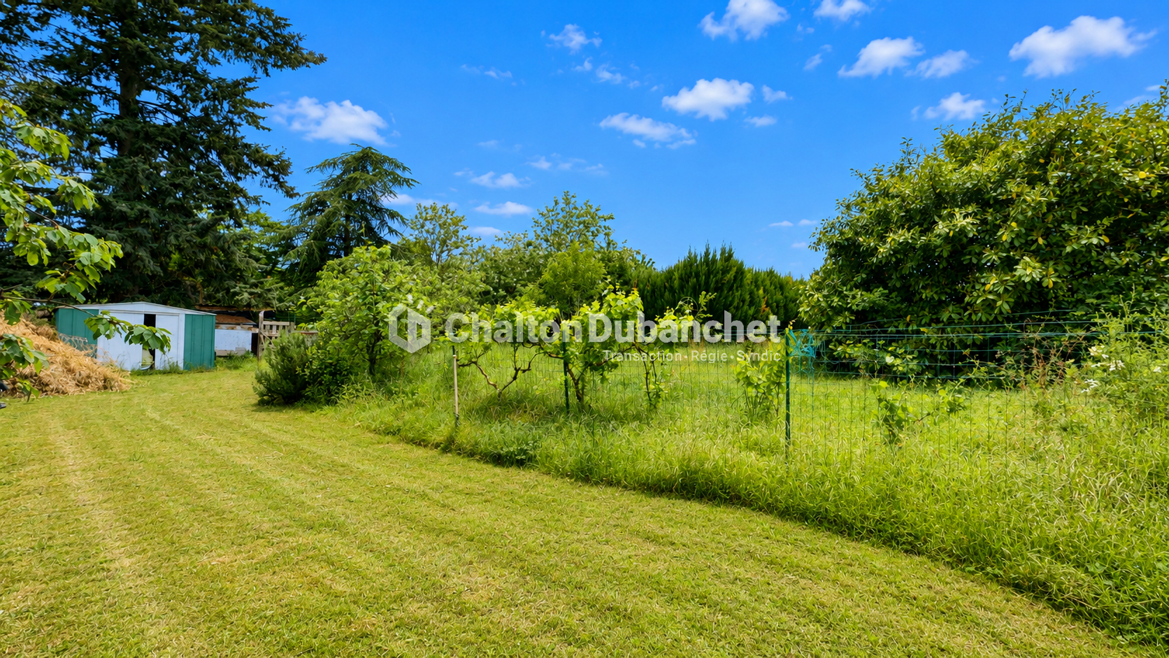 Photo 15 — CHALTON DUBANCHET