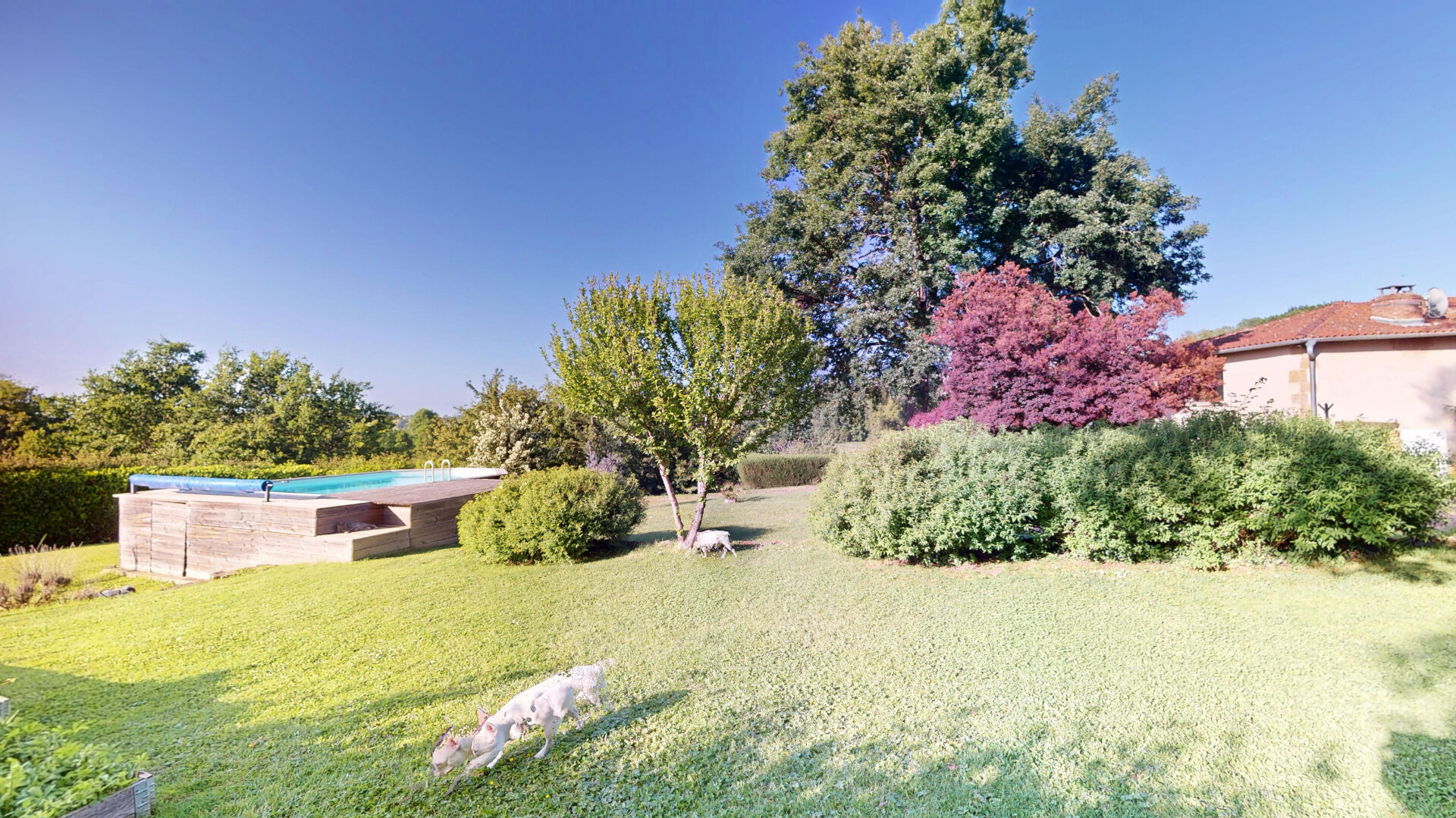 Photo 8 — CHALTON DUBANCHET