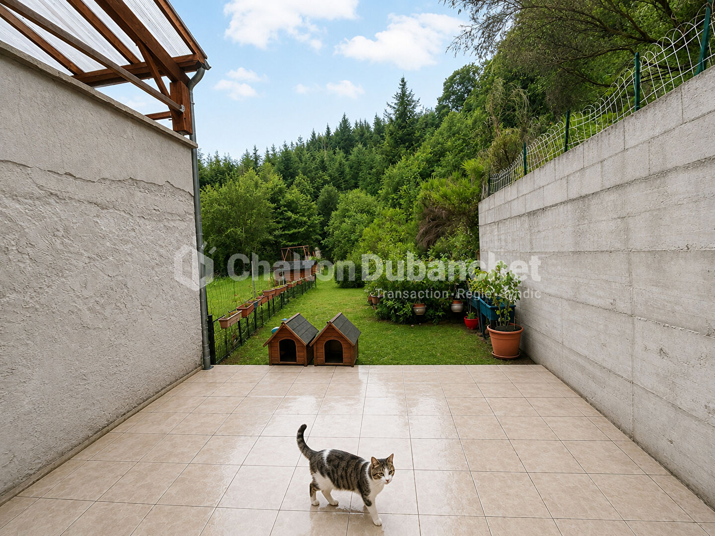 Photo 9 — CHALTON DUBANCHET