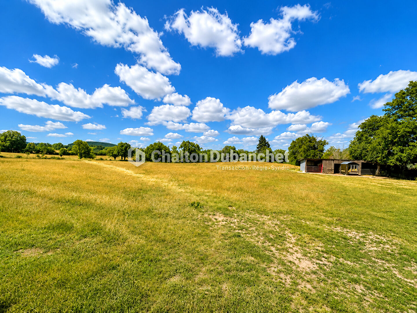 Photo 7 — CHALTON DUBANCHET