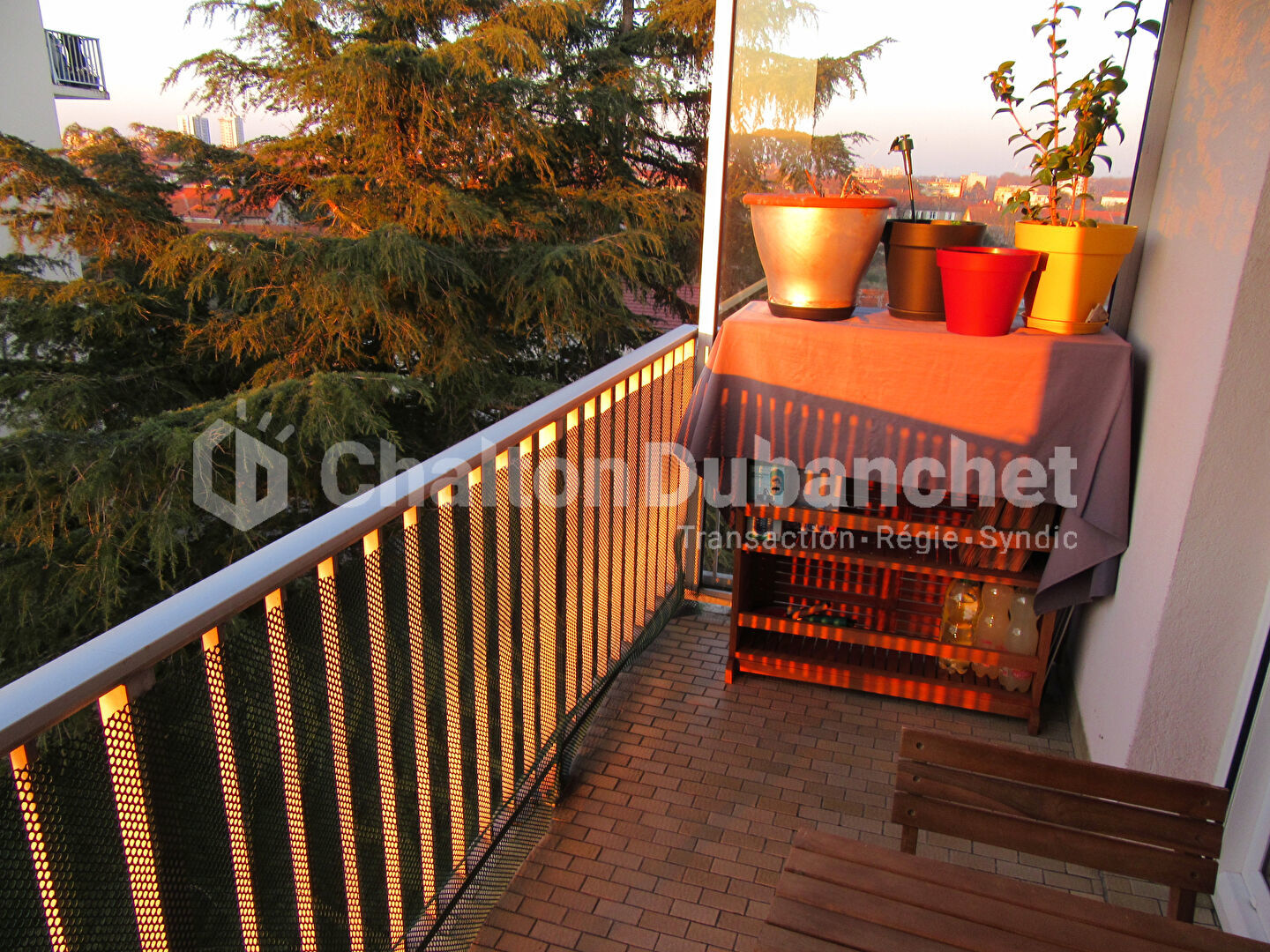 Photo 11 — CHALTON DUBANCHET