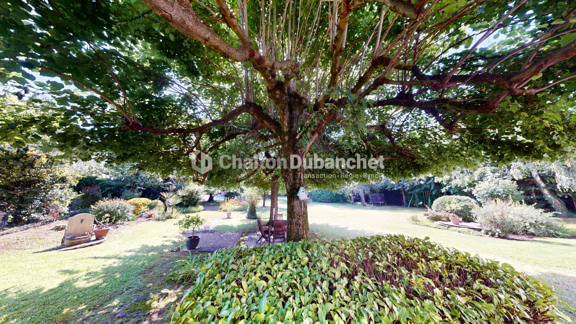 Photo 5 — CHALTON DUBANCHET