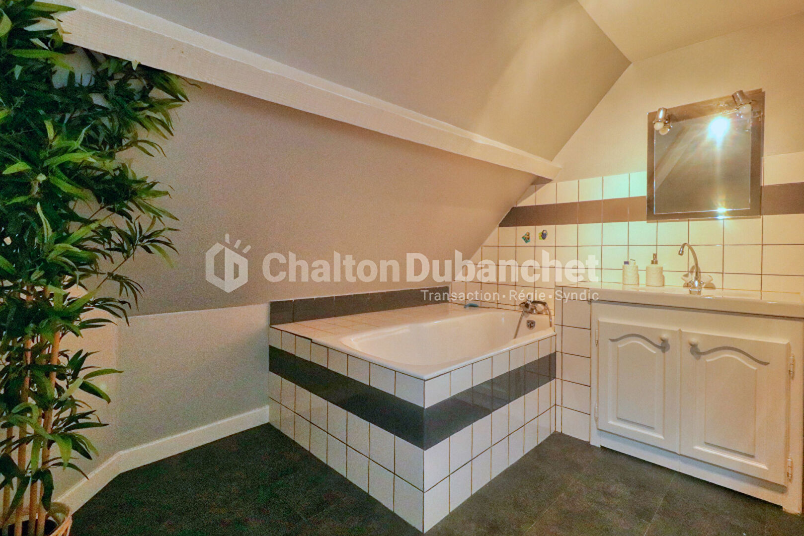 Photo 14 — CHALTON DUBANCHET