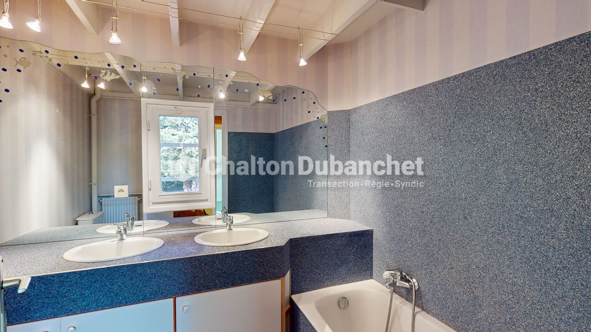 Photo 6 — CHALTON DUBANCHET