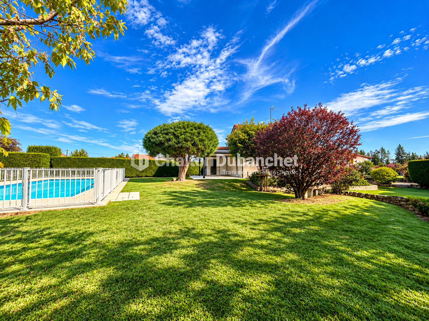 Photo 16 — CHALTON DUBANCHET