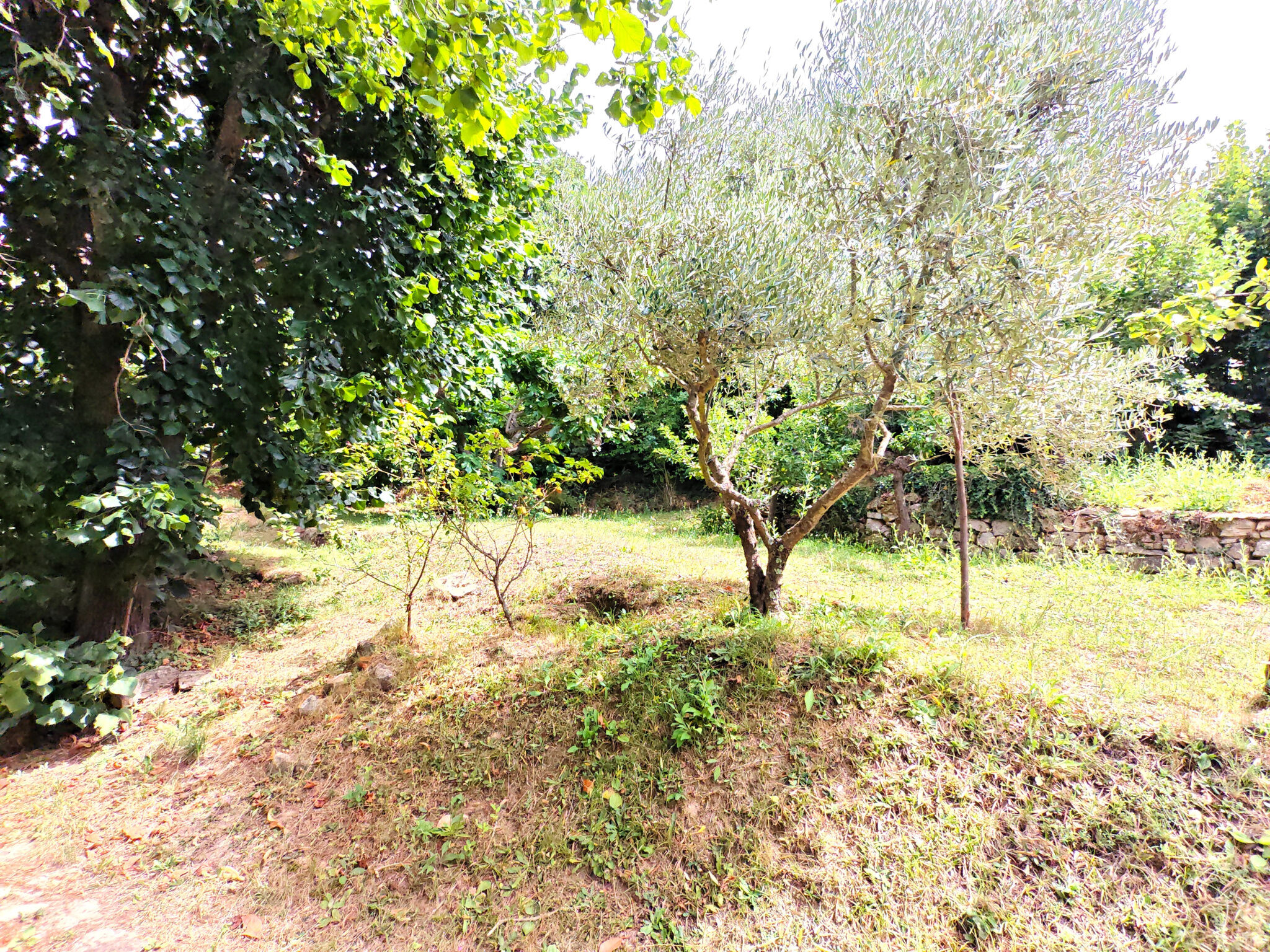 Photo 20 — VALMA IMMO