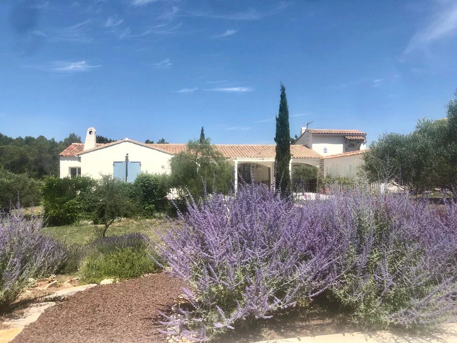 Photo 5 — LA RIVIERA PROPERTIES