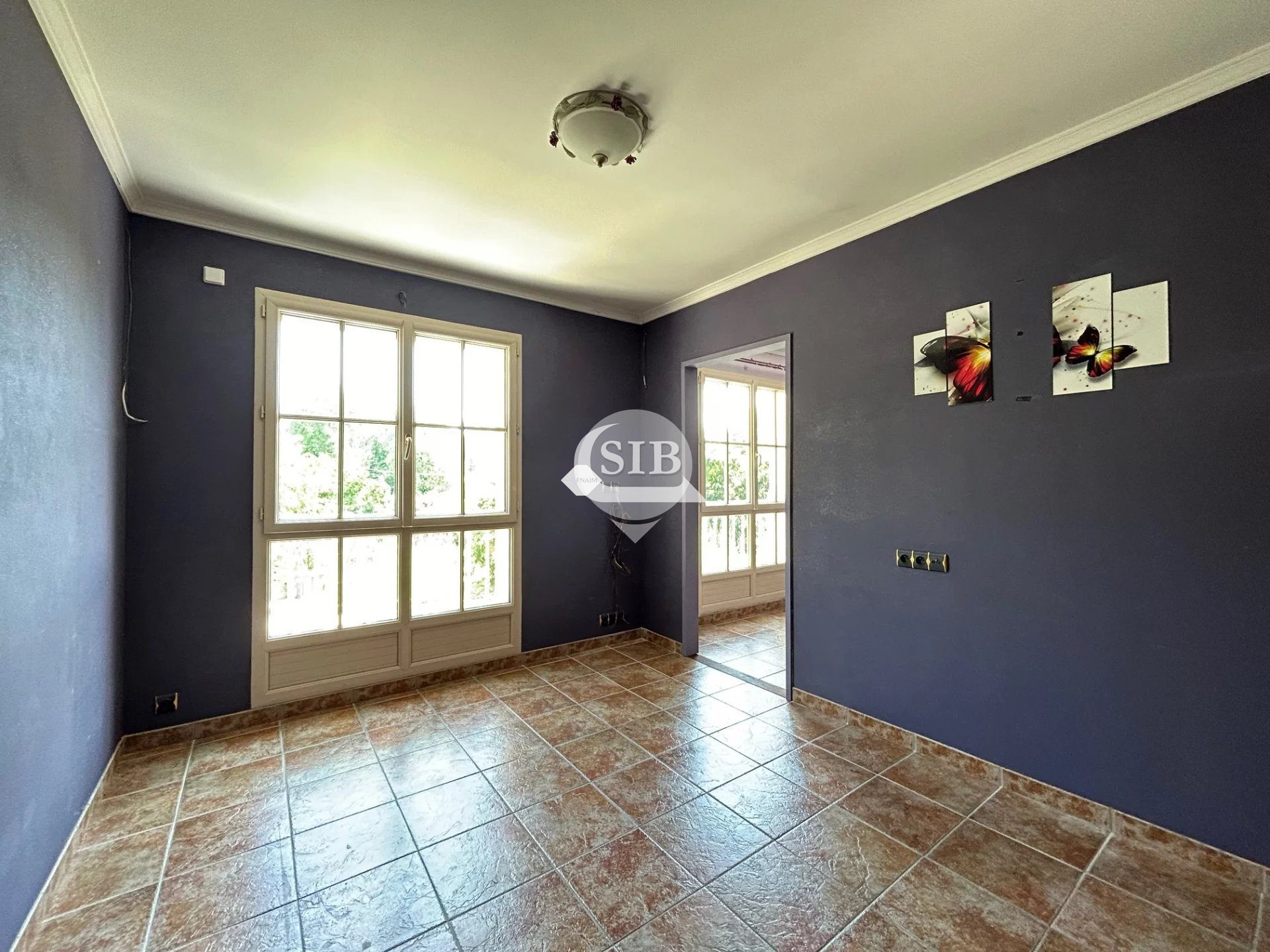 Photo 6 — S.I.B