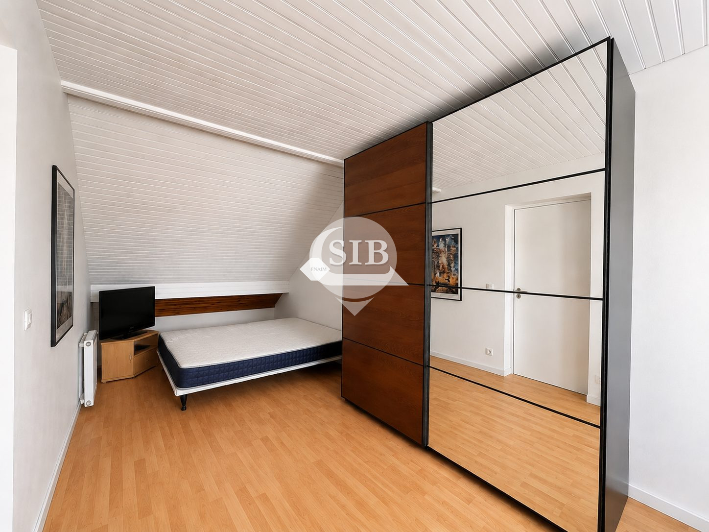 Photo 12 — S.I.B
