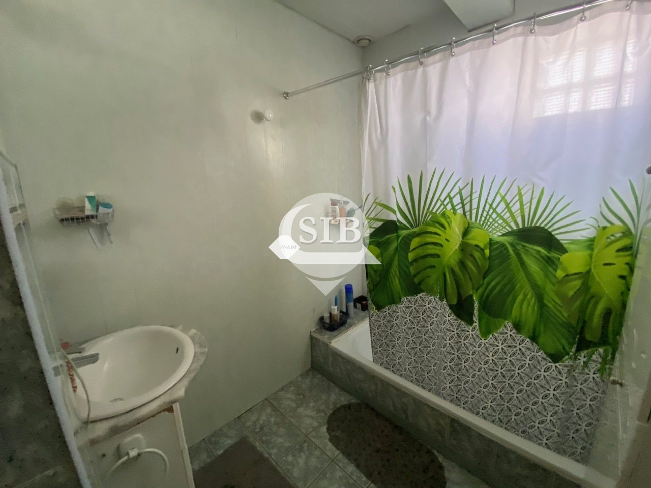 Photo 13 — S.I.B
