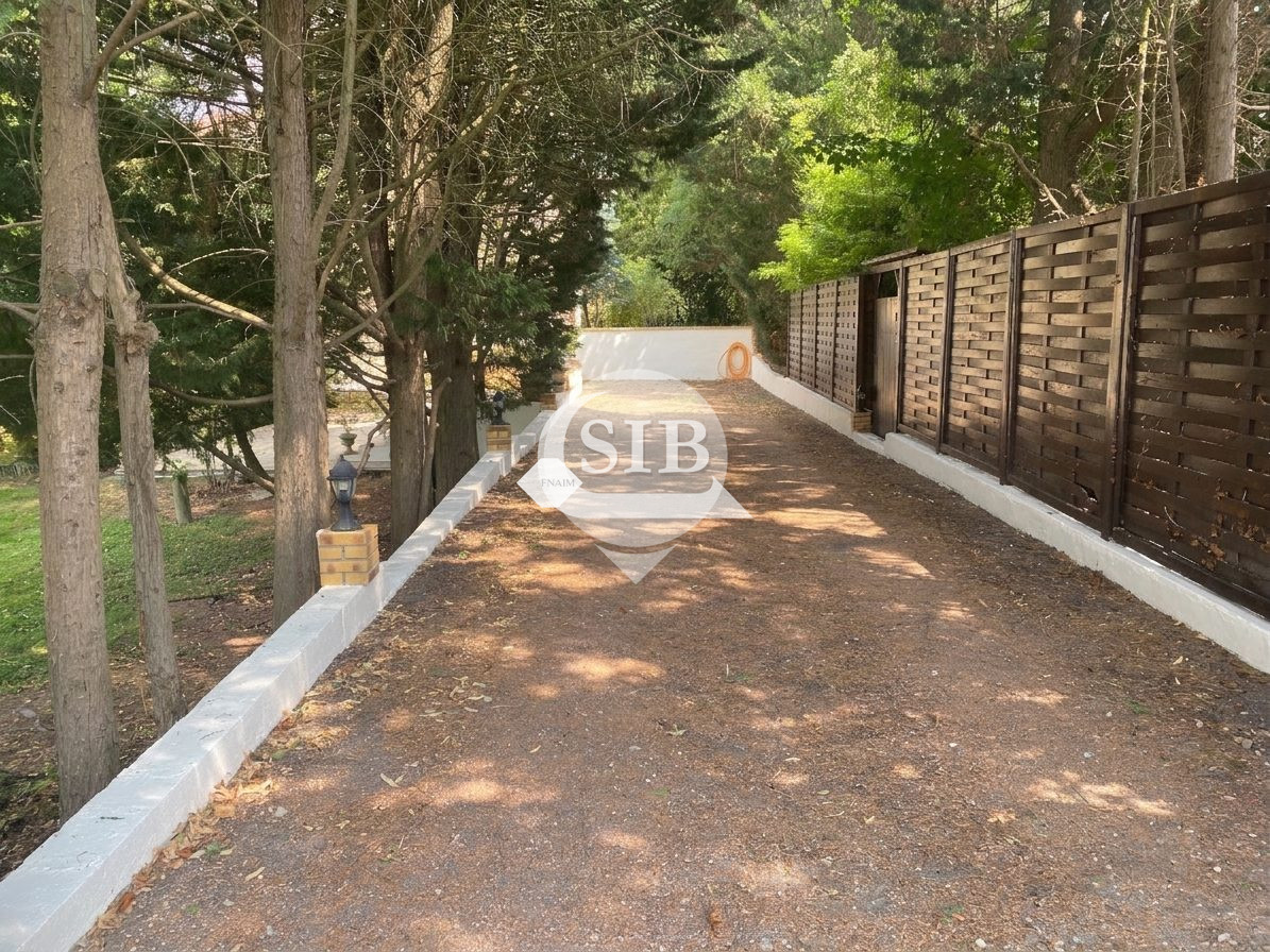 Photo 28 — S.I.B