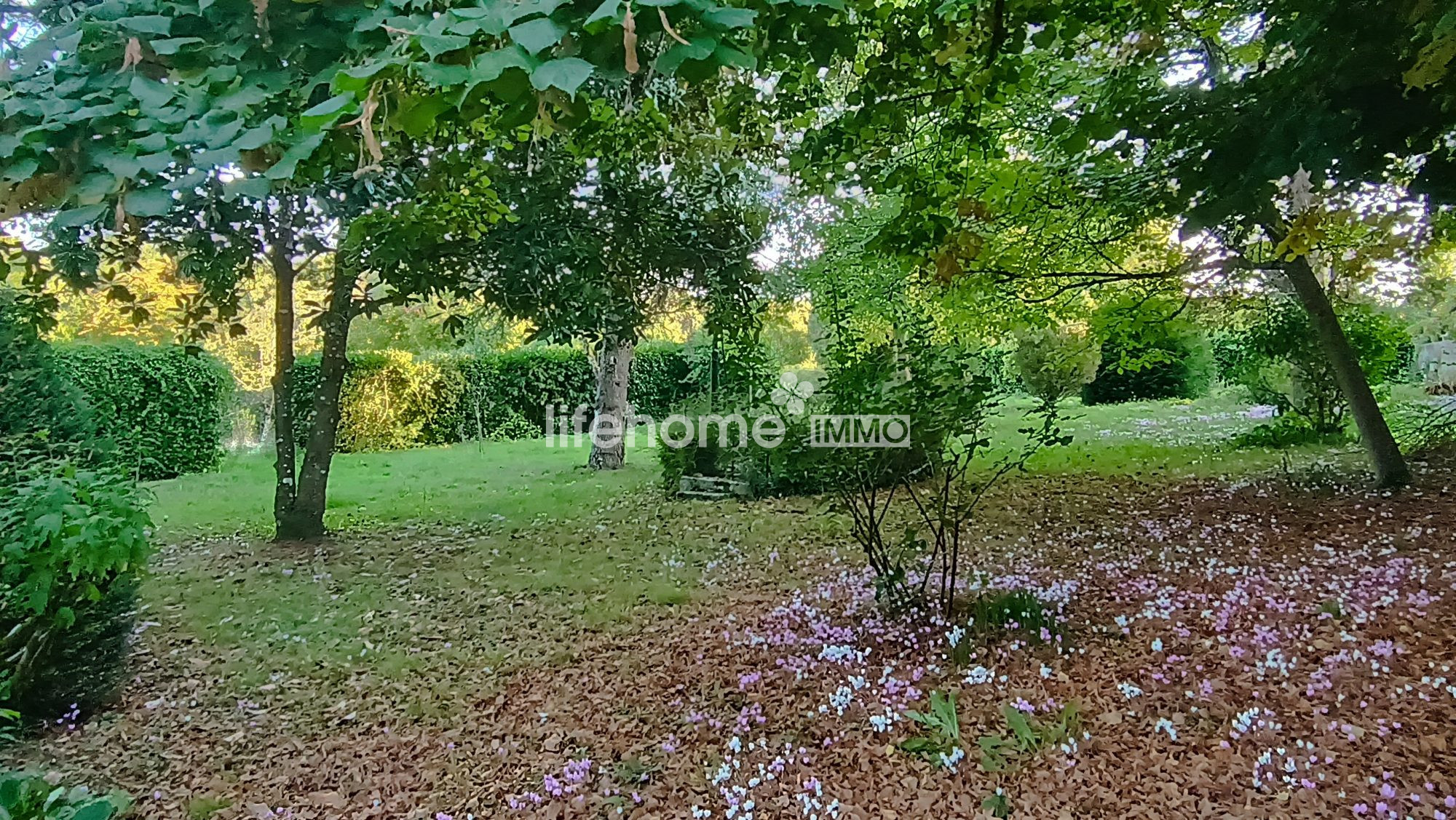 Photo 4 — LIFEHOME IMMO