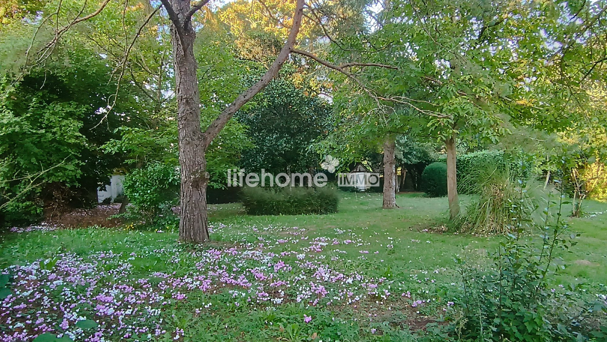 Photo 3 — LIFEHOME IMMO
