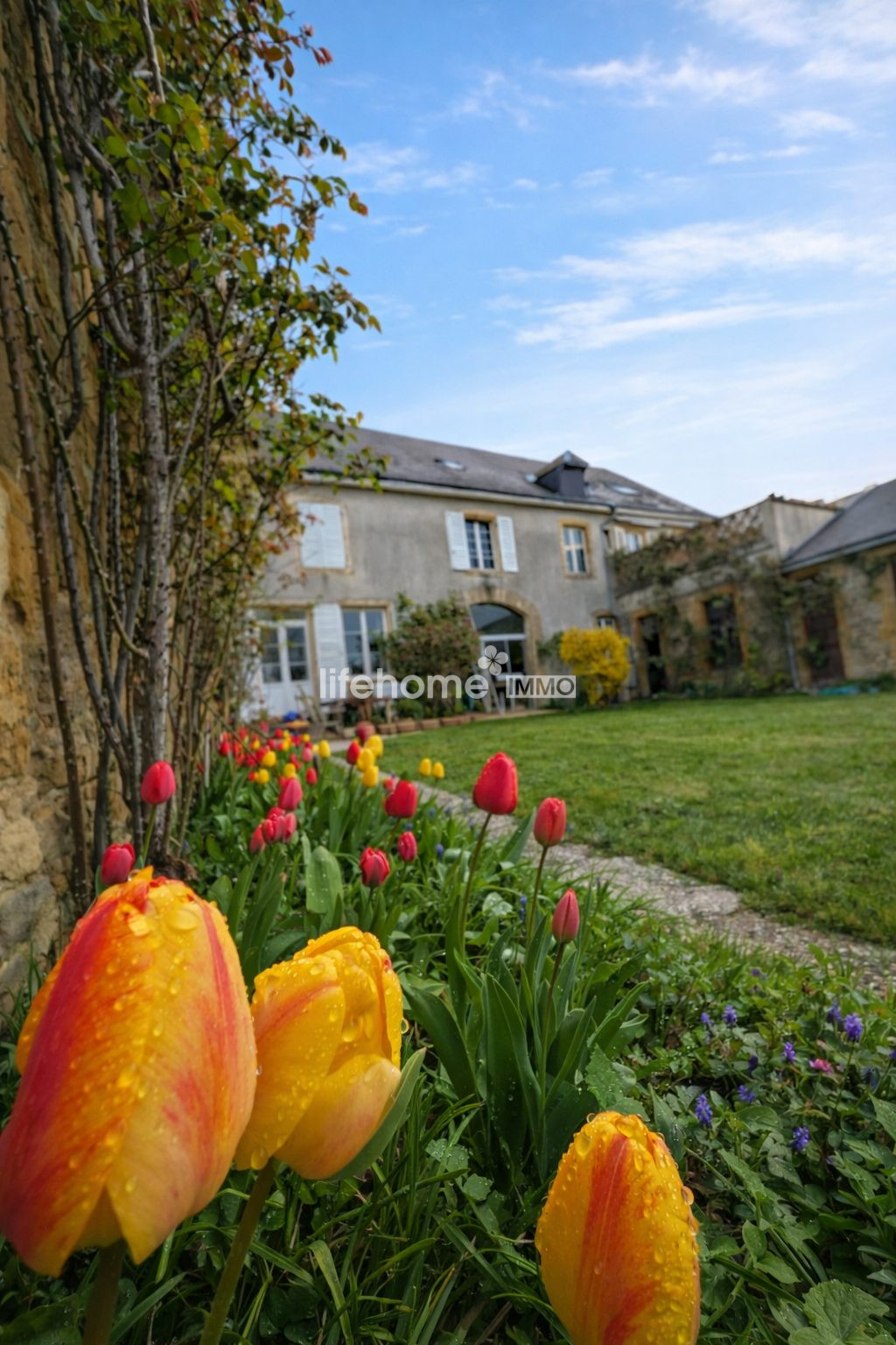 Photo 3 — LIFEHOME IMMO