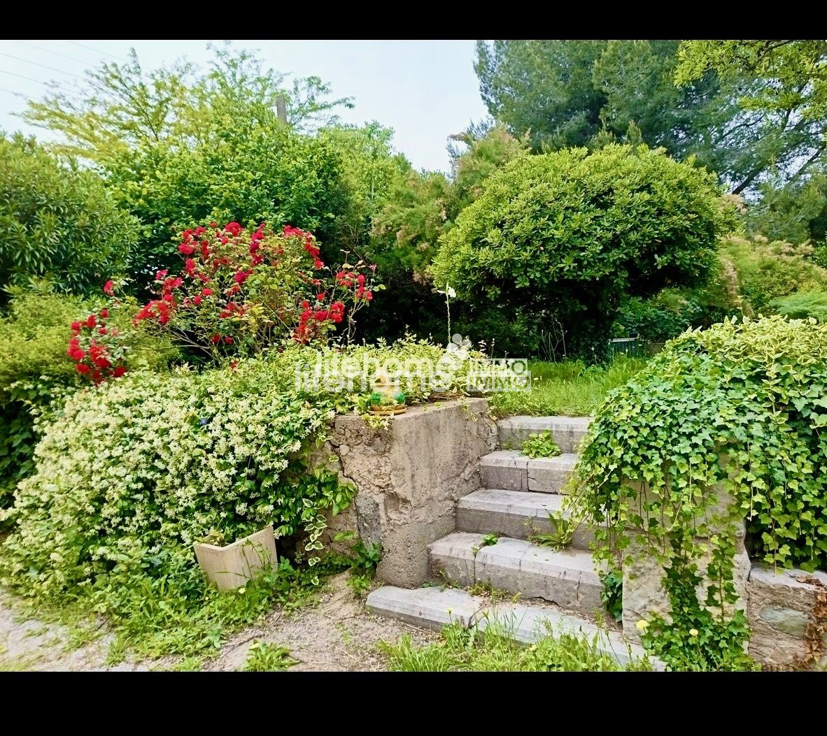 Photo 2 — LIFEHOME IMMO