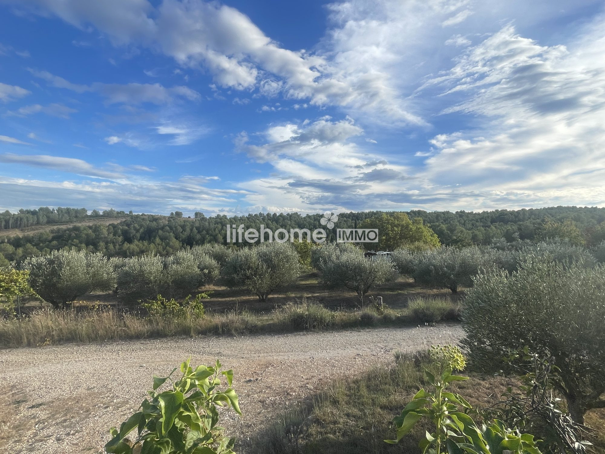 Photo 11 — LIFEHOME IMMO