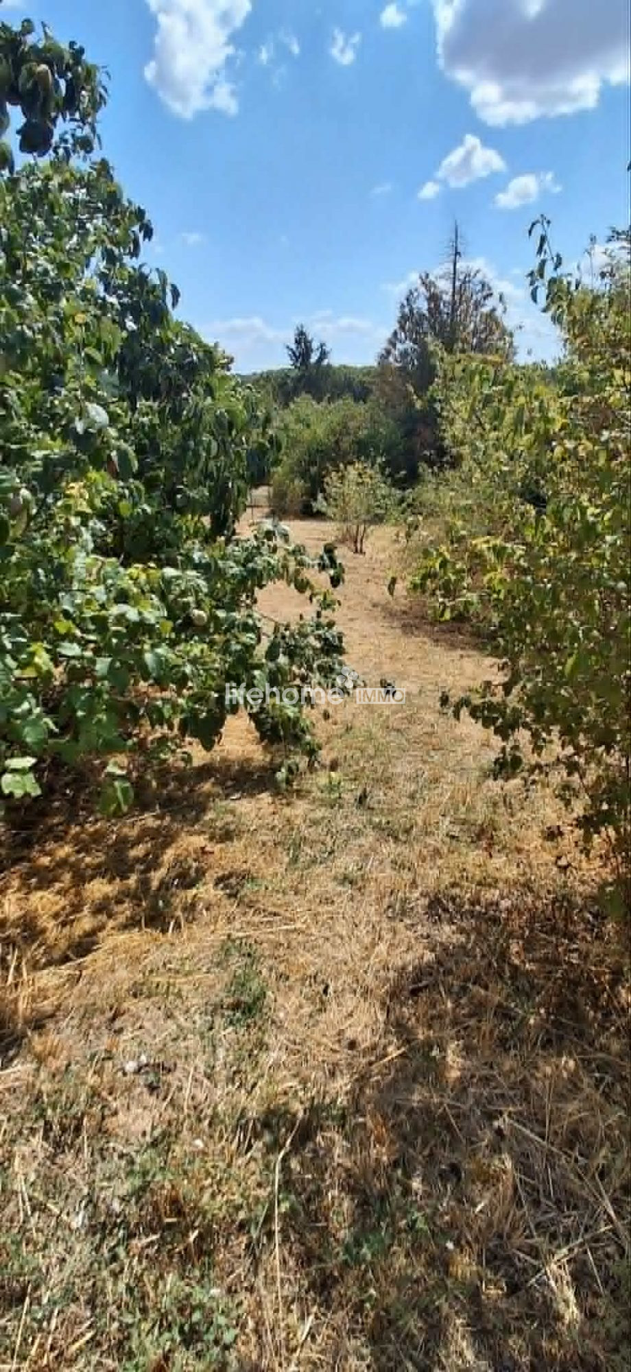 Photo 11 — LIFEHOME IMMO
