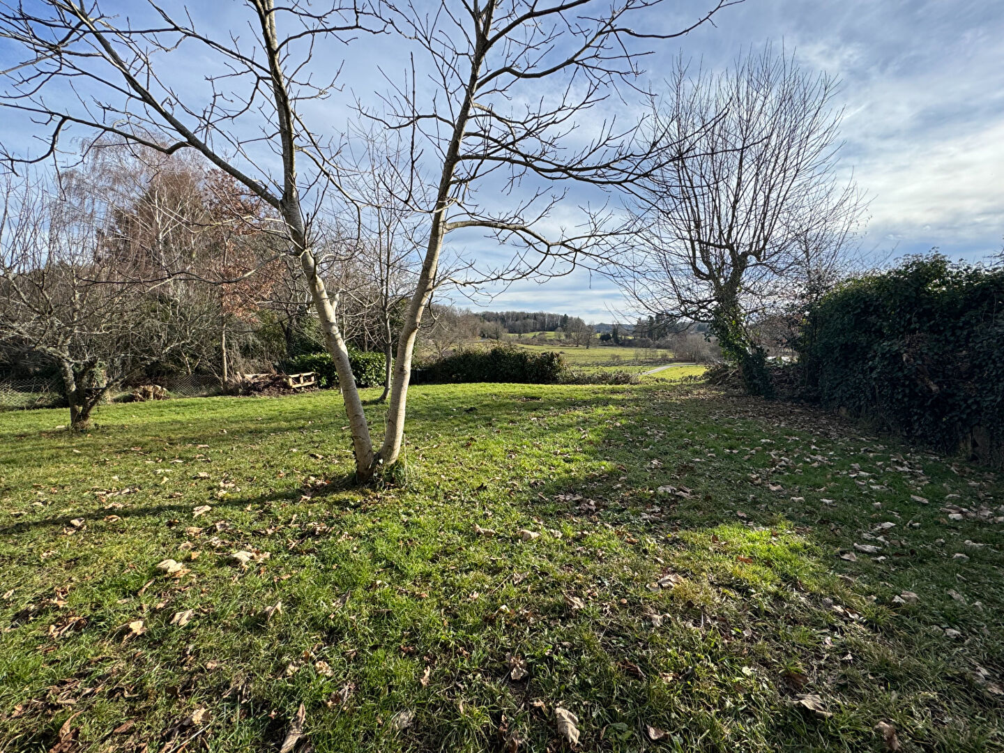 Photo 2 — VERT ET BLEU IMMOBILIER
