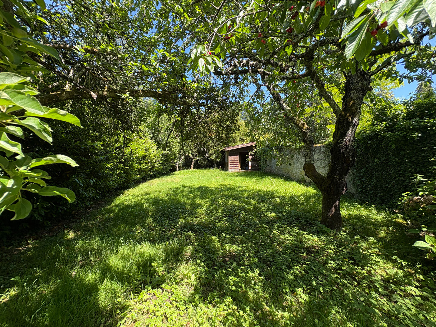 Photo 5 — VERT ET BLEU IMMOBILIER