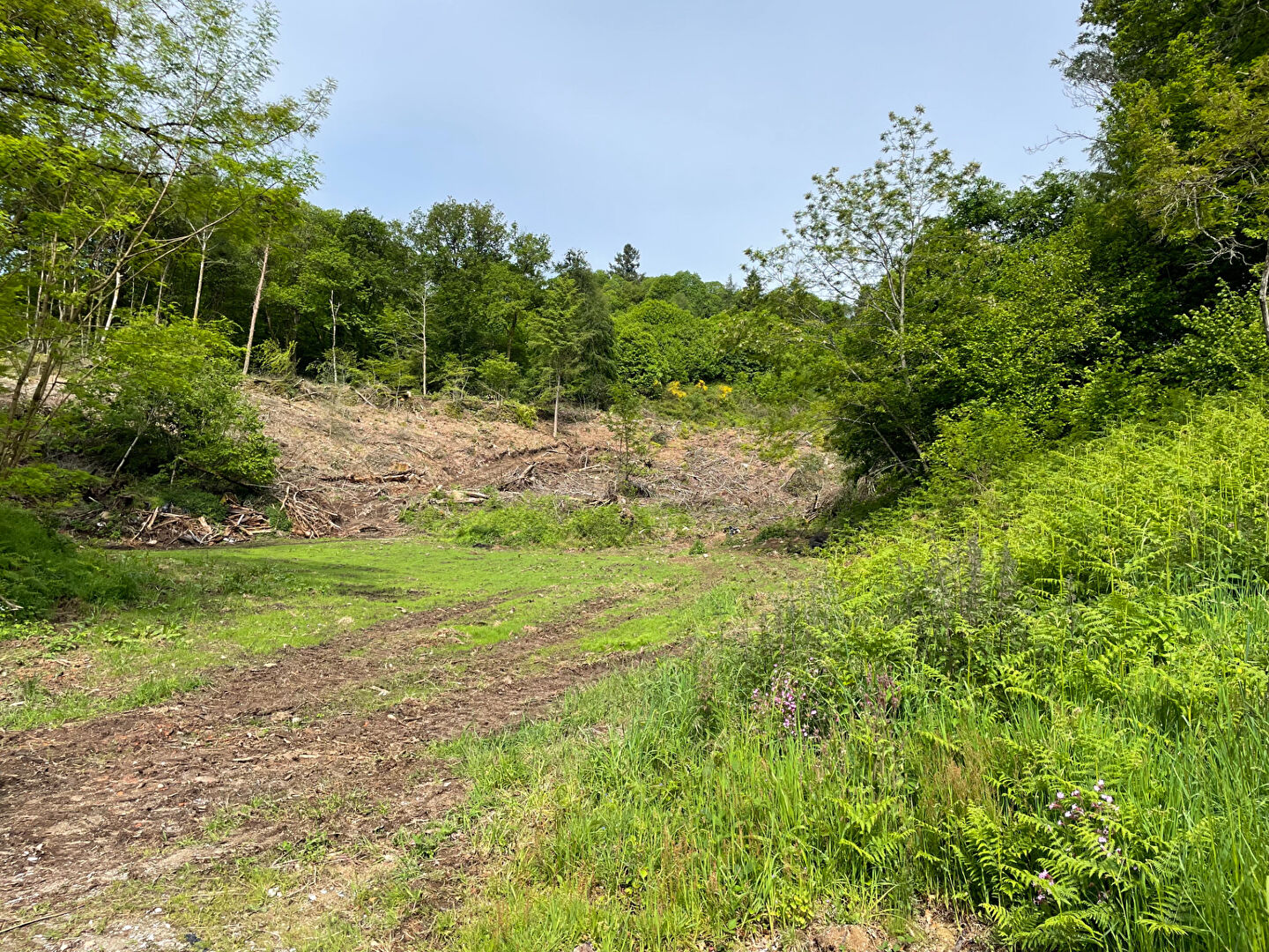 Photo 2 — VERT ET BLEU IMMOBILIER