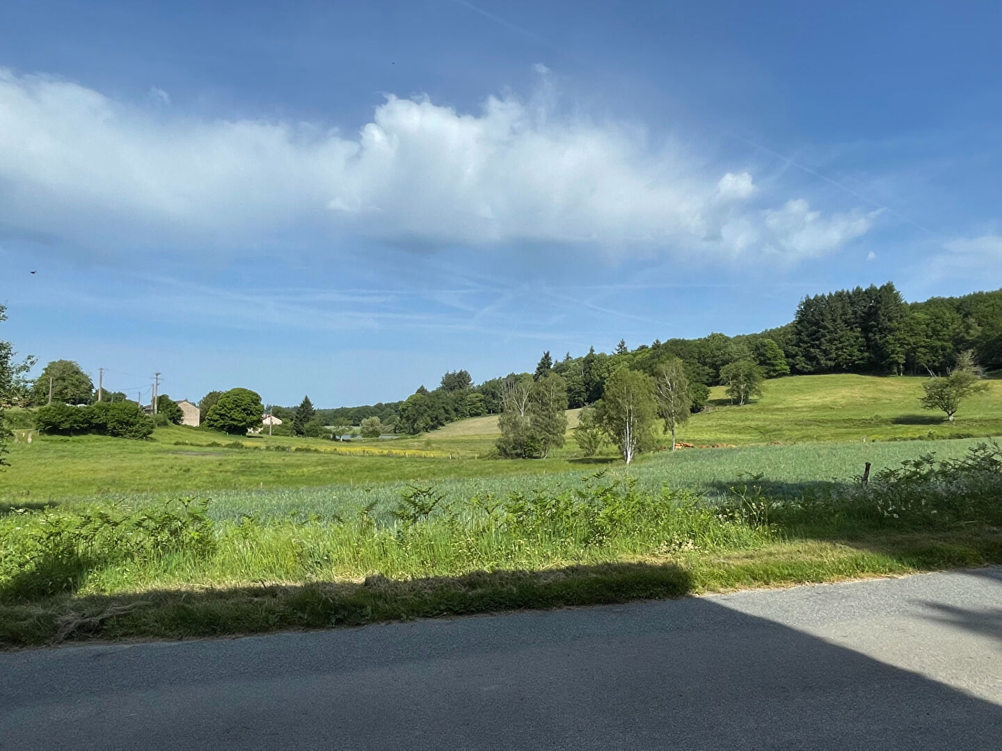 Photo 5 — VERT ET BLEU IMMOBILIER