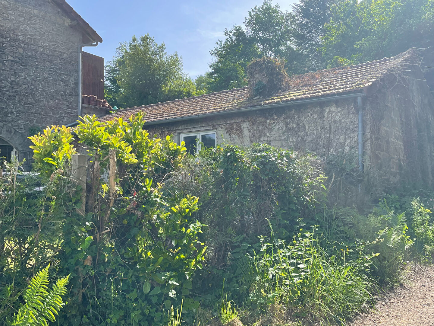 Photo 4 — VERT ET BLEU IMMOBILIER