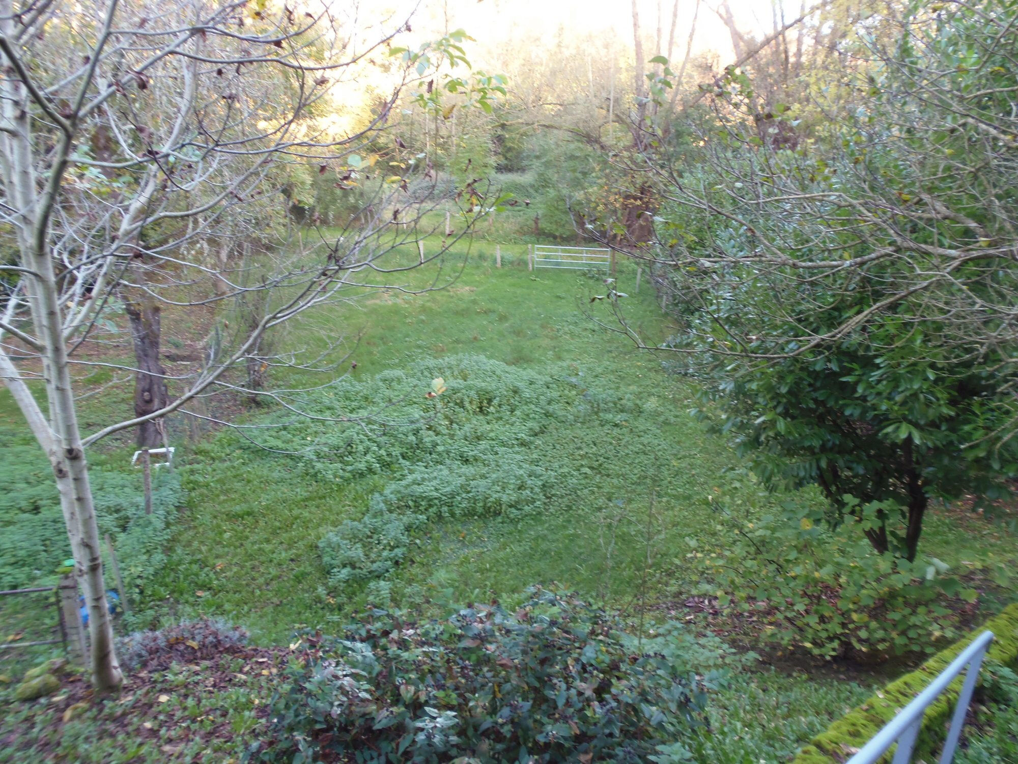 Photo 6 — HORIZON SUD BERRY IMMOBILIER - Châtre