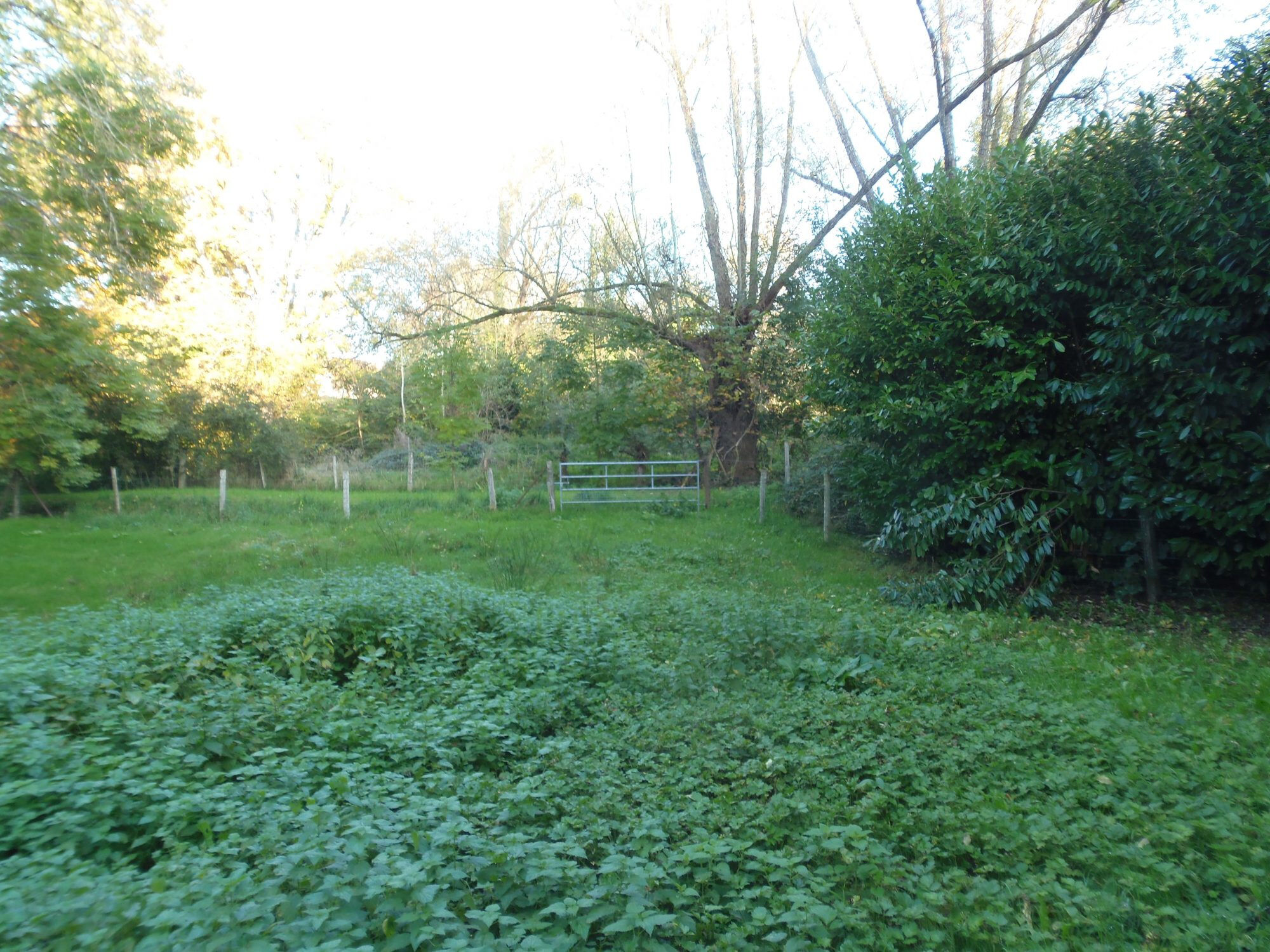 Photo 18 — HORIZON SUD BERRY IMMOBILIER - Châtre
