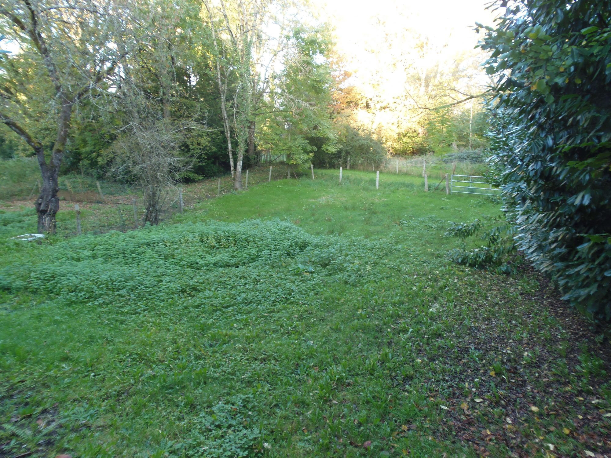 Photo 19 — HORIZON SUD BERRY IMMOBILIER - Châtre