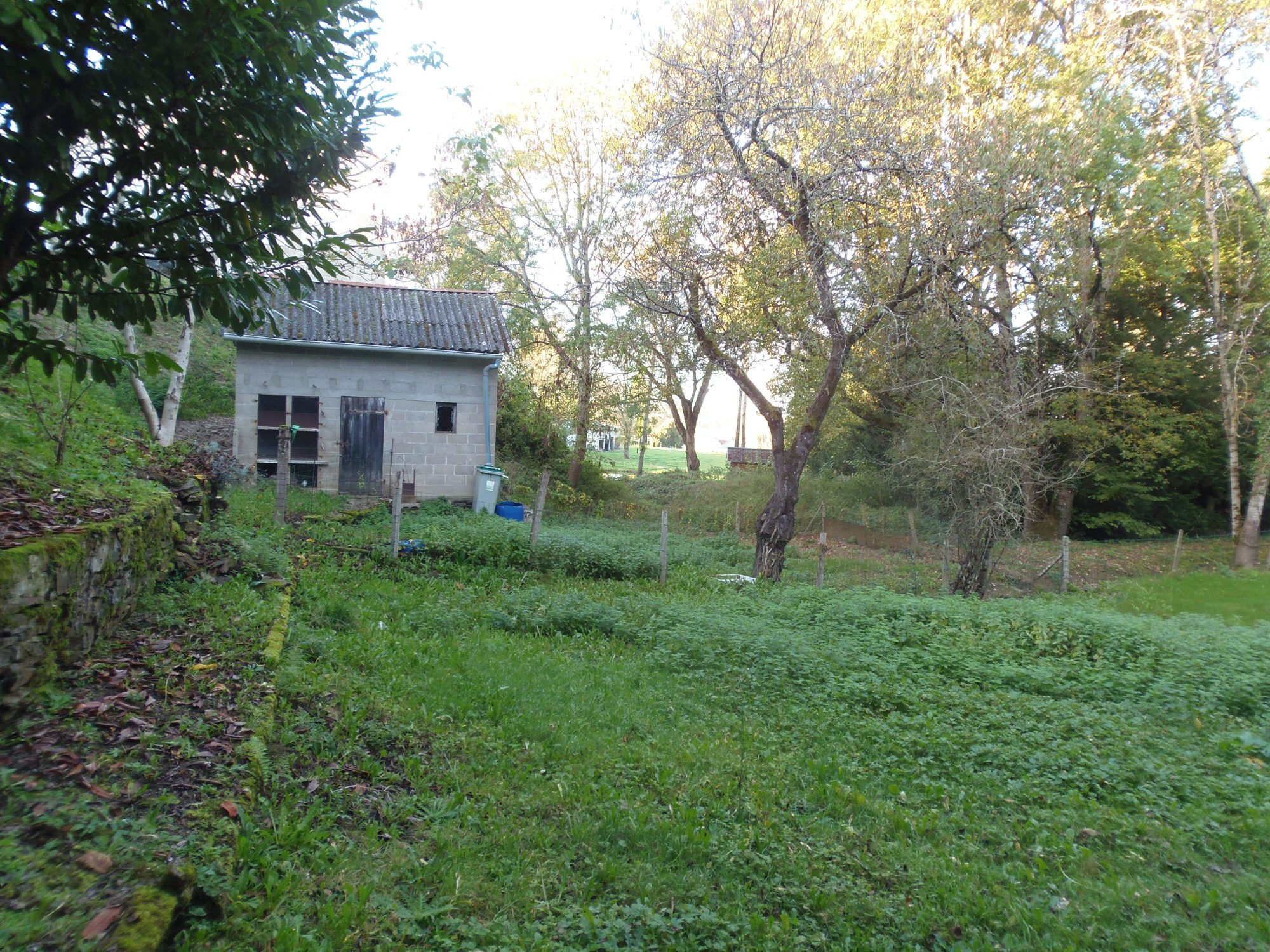 Photo 7 — HORIZON SUD BERRY IMMOBILIER - Châtre