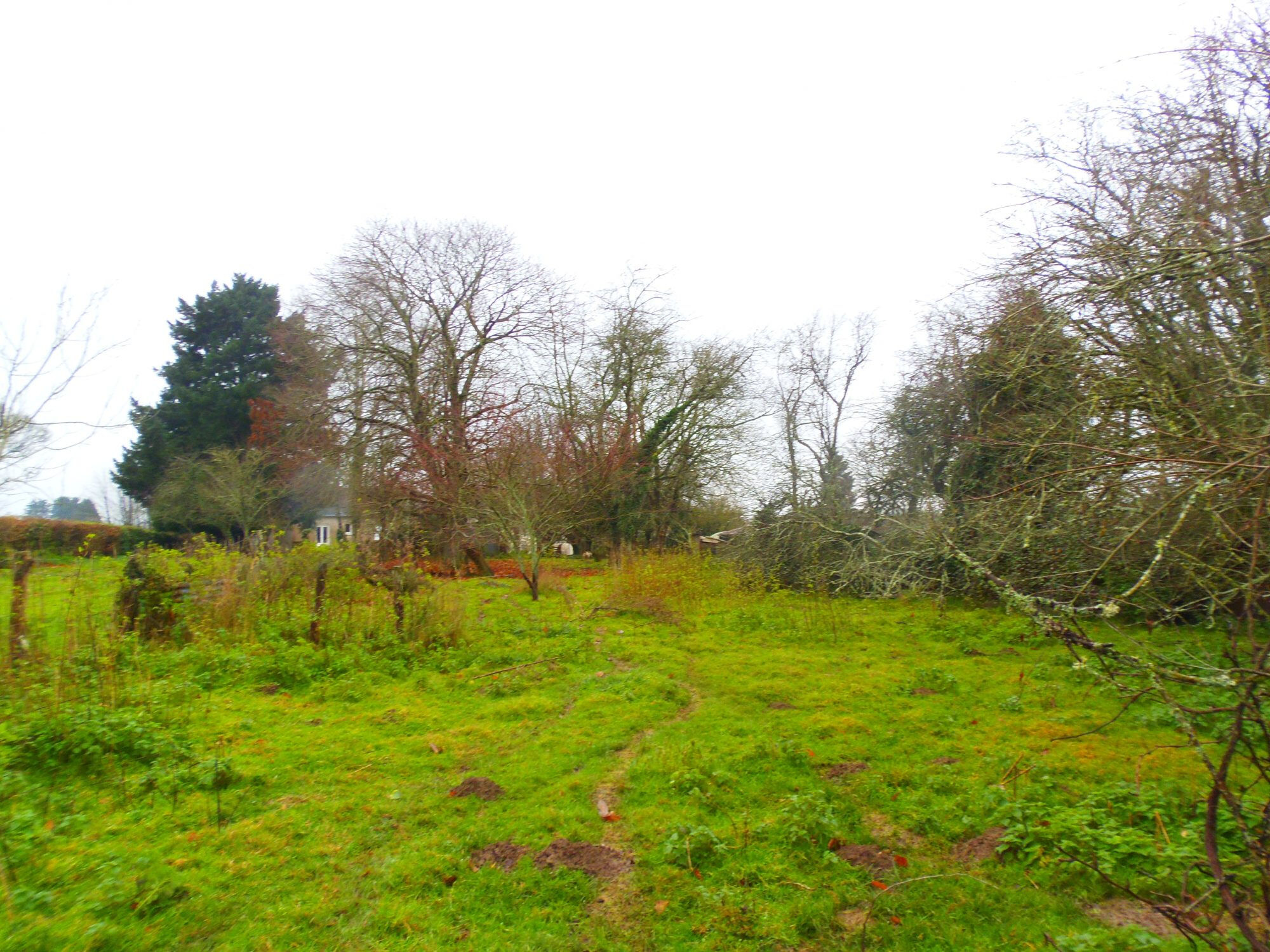 Photo 3 — HORIZON SUD BERRY IMMOBILIER - Châtre
