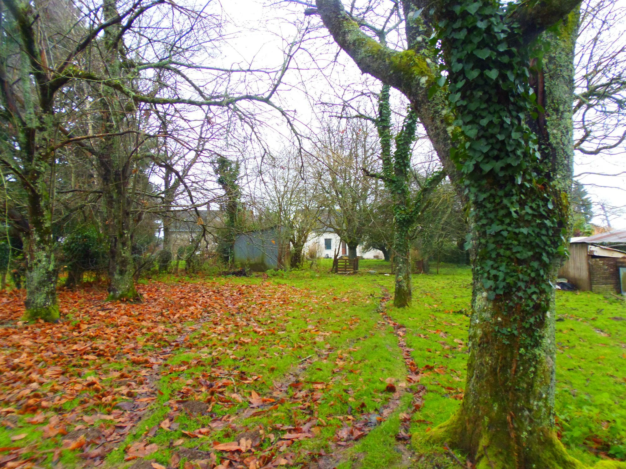 Photo 4 — HORIZON SUD BERRY IMMOBILIER - Châtre