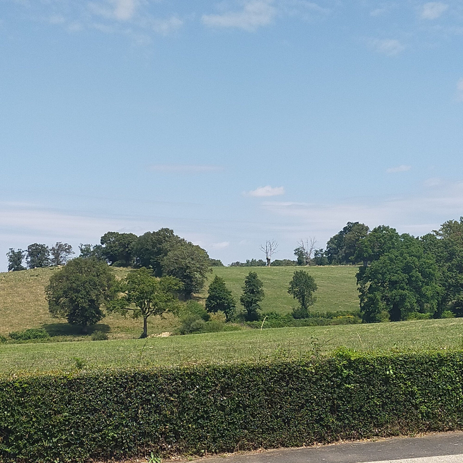Photo 2 — HORIZON SUD BERRY IMMOBILIER - Châtre