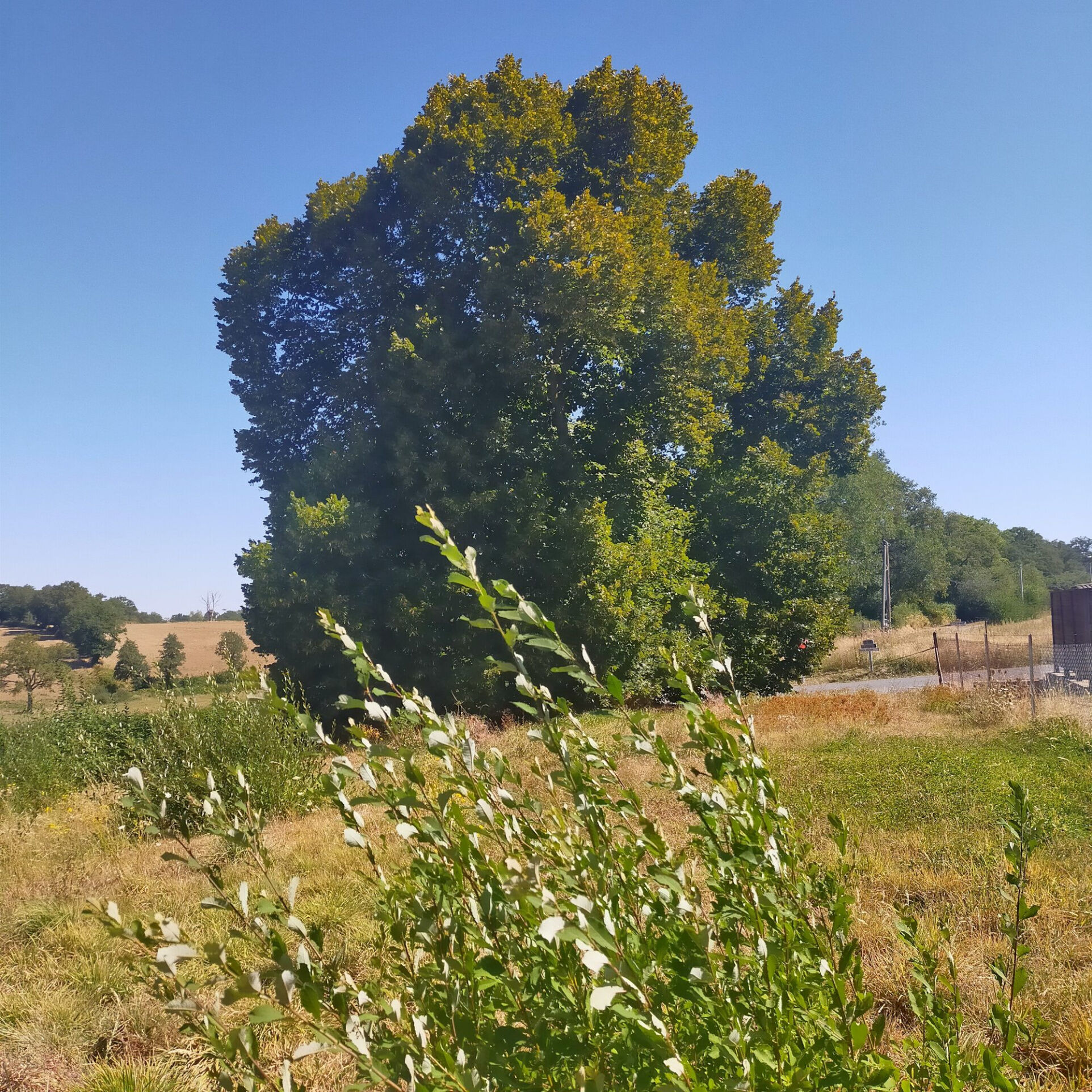 Photo 15 — HORIZON SUD BERRY IMMOBILIER - Châtre