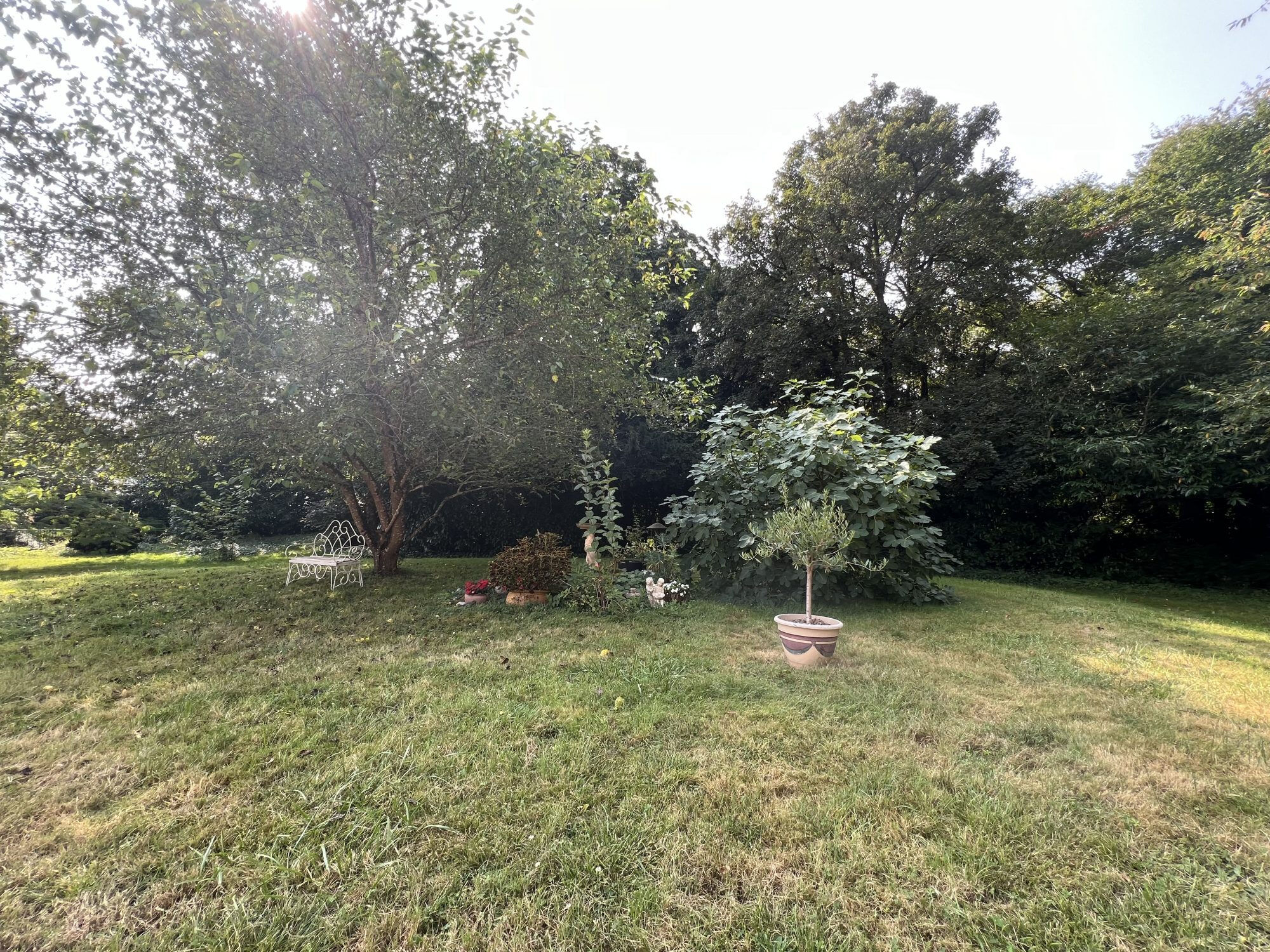Photo 24 — HORIZON SUD BERRY IMMOBILIER - Châtre