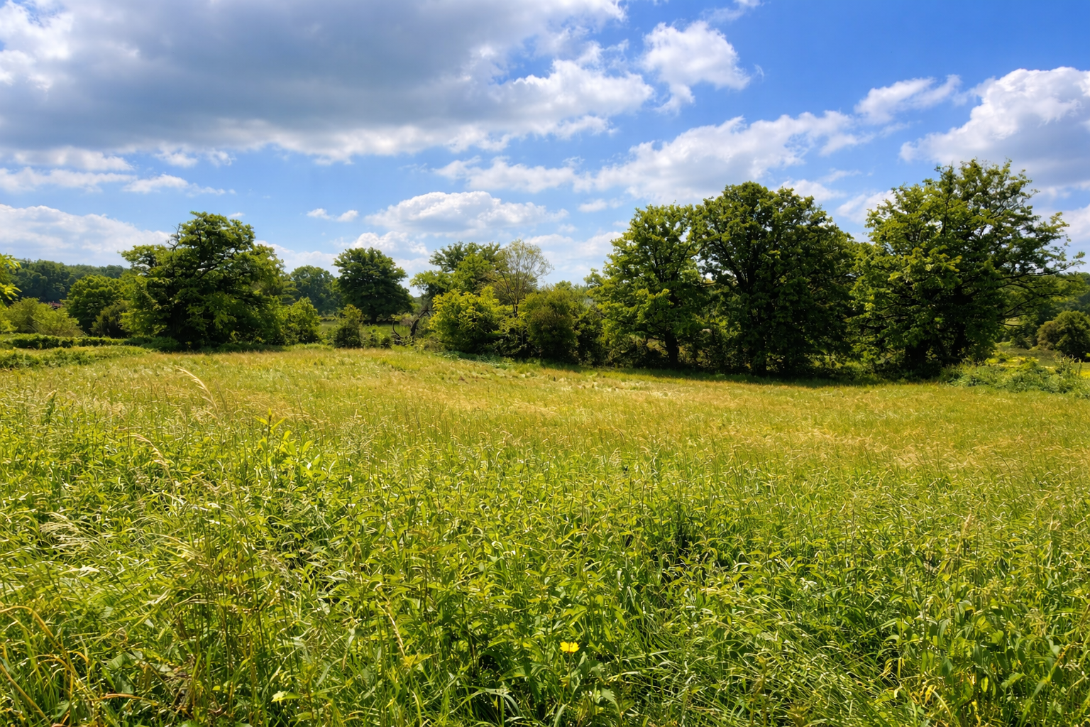 Photo 5 — HORIZON SUD BERRY IMMOBILIER - Châtre