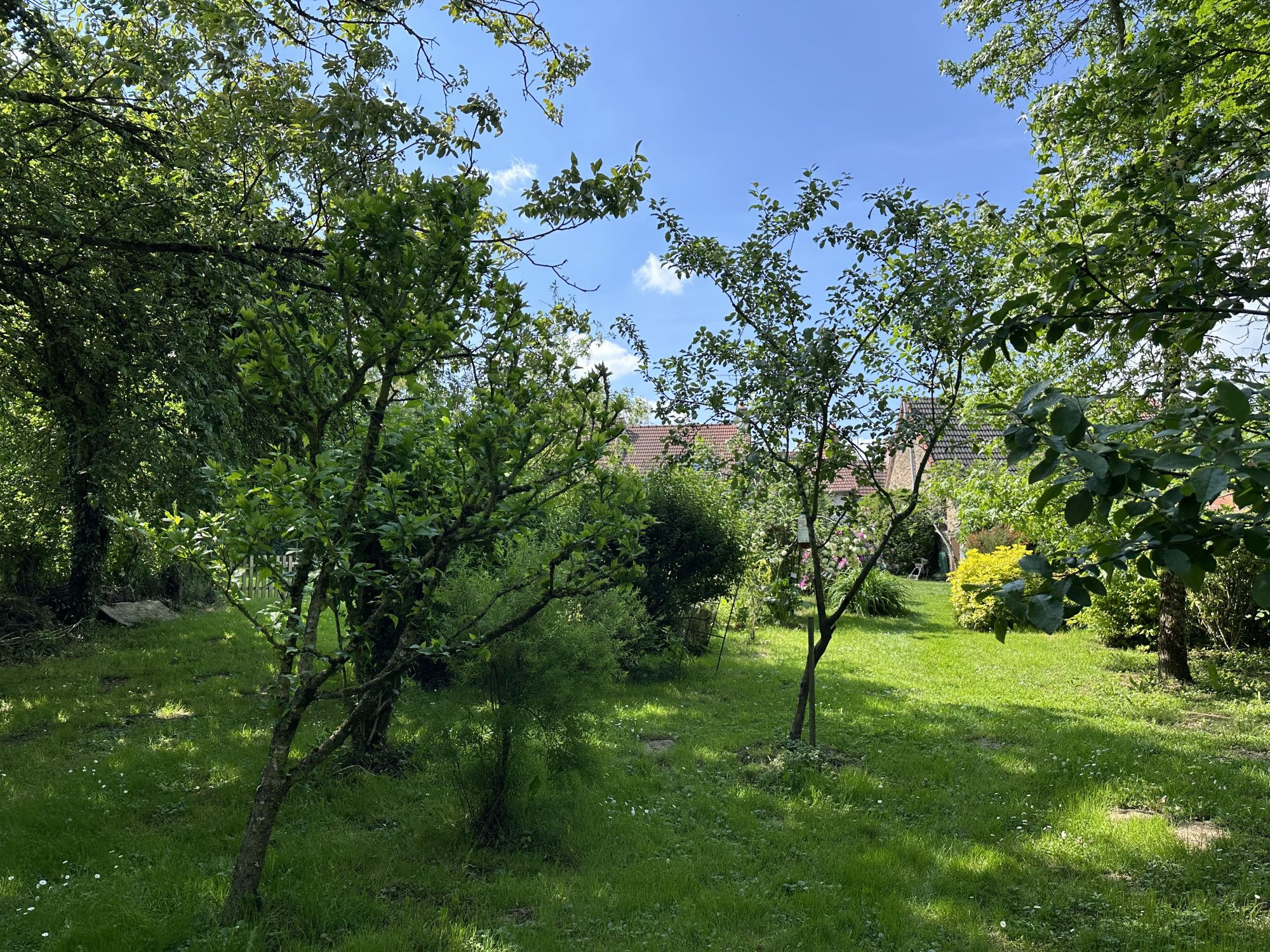 Photo 4 — HORIZON SUD BERRY IMMOBILIER - Châtre